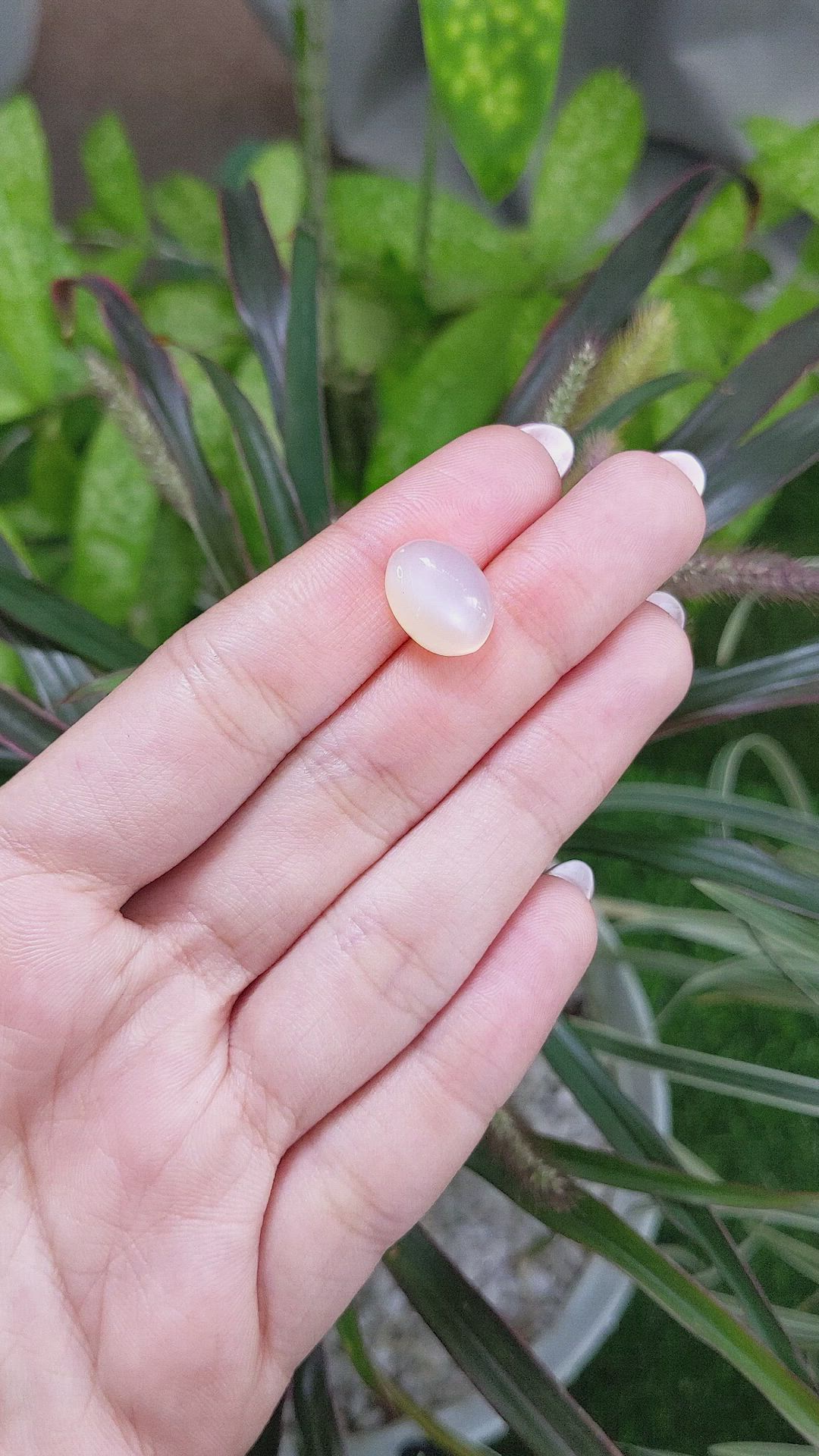 7.41 Ct. Cabochon Moonstone from Ceylon (Sri Lanka) Size Video