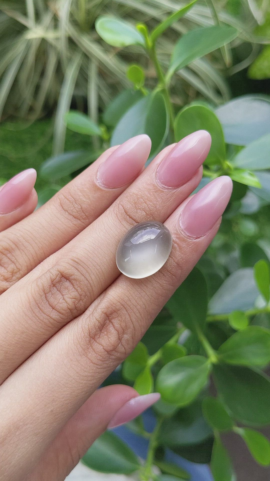 14.46 Ct. Cabochon Moonstone from Ceylon (Sri Lanka) Size Video