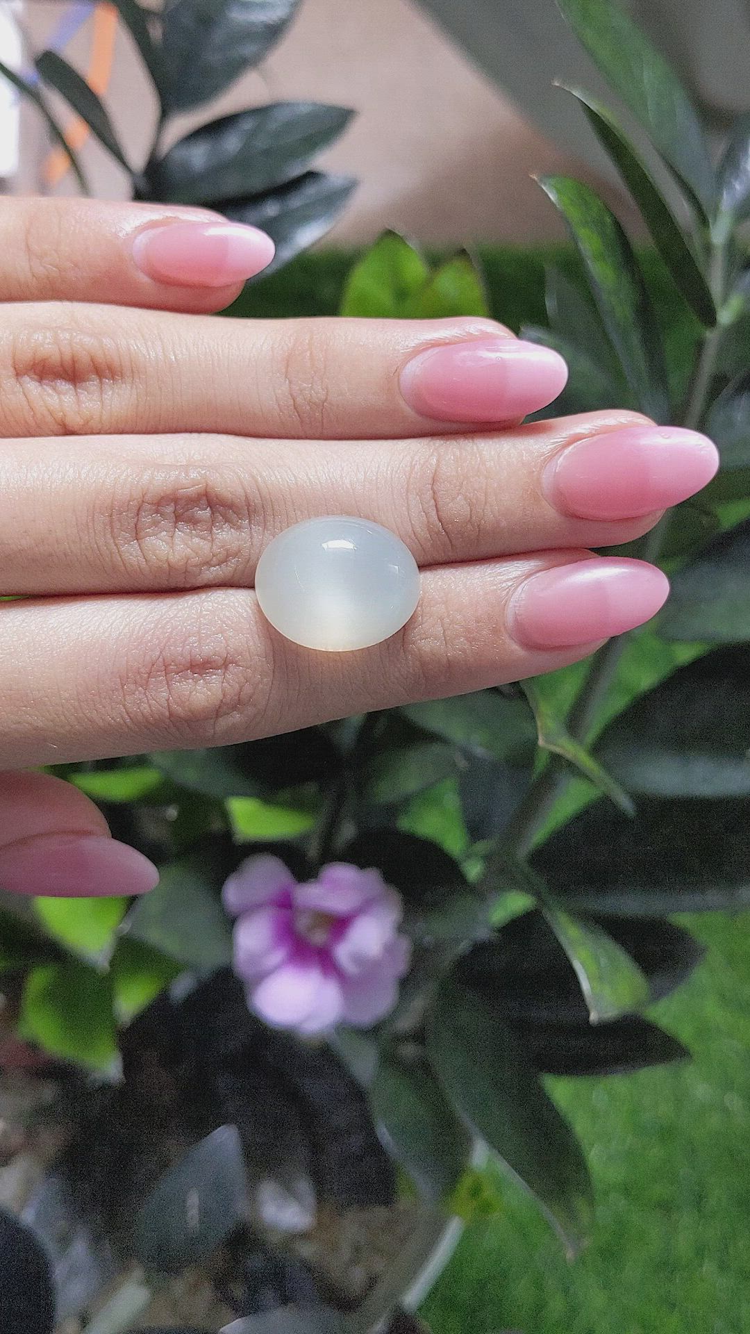 16.05 Ct. Cabochon Moonstone from Ceylon (Sri Lanka) Size Video