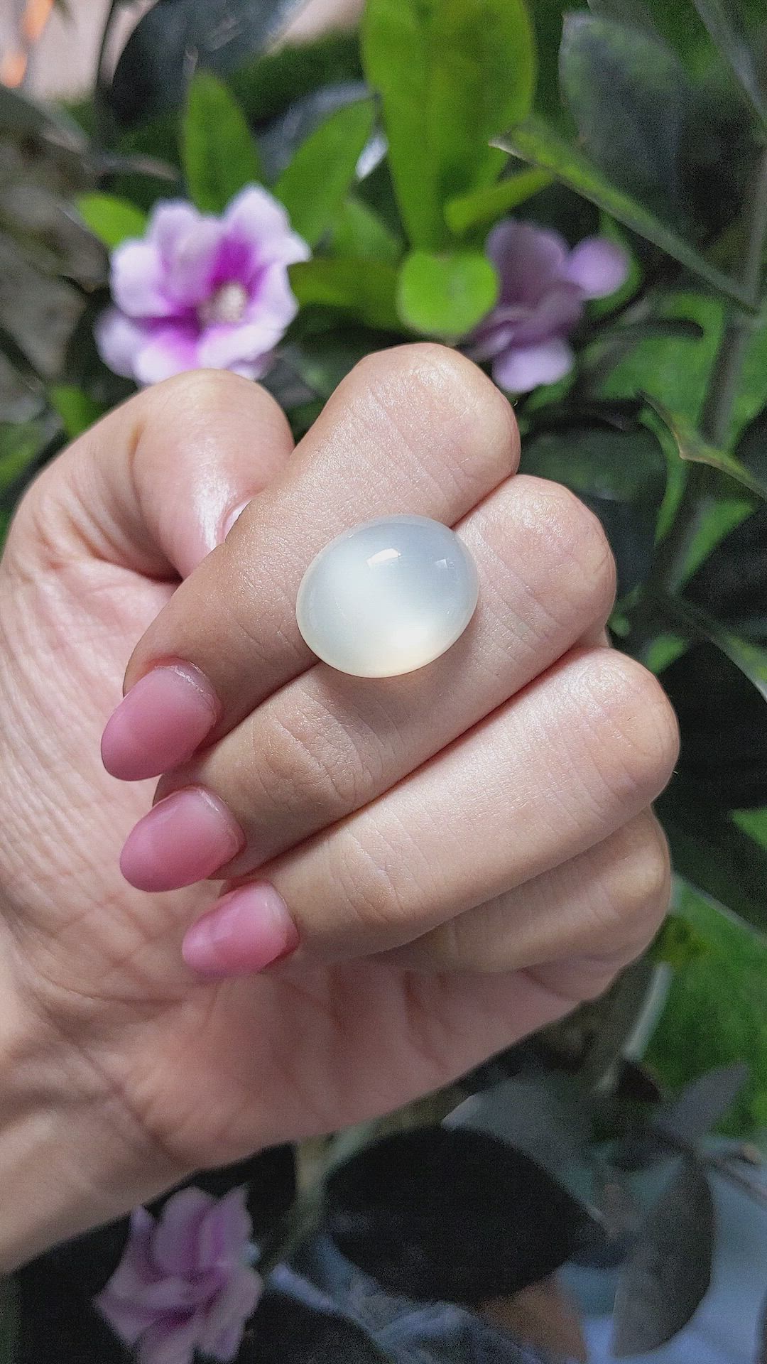 16.05 Ct. Cabochon Moonstone from Ceylon (Sri Lanka) Size Video