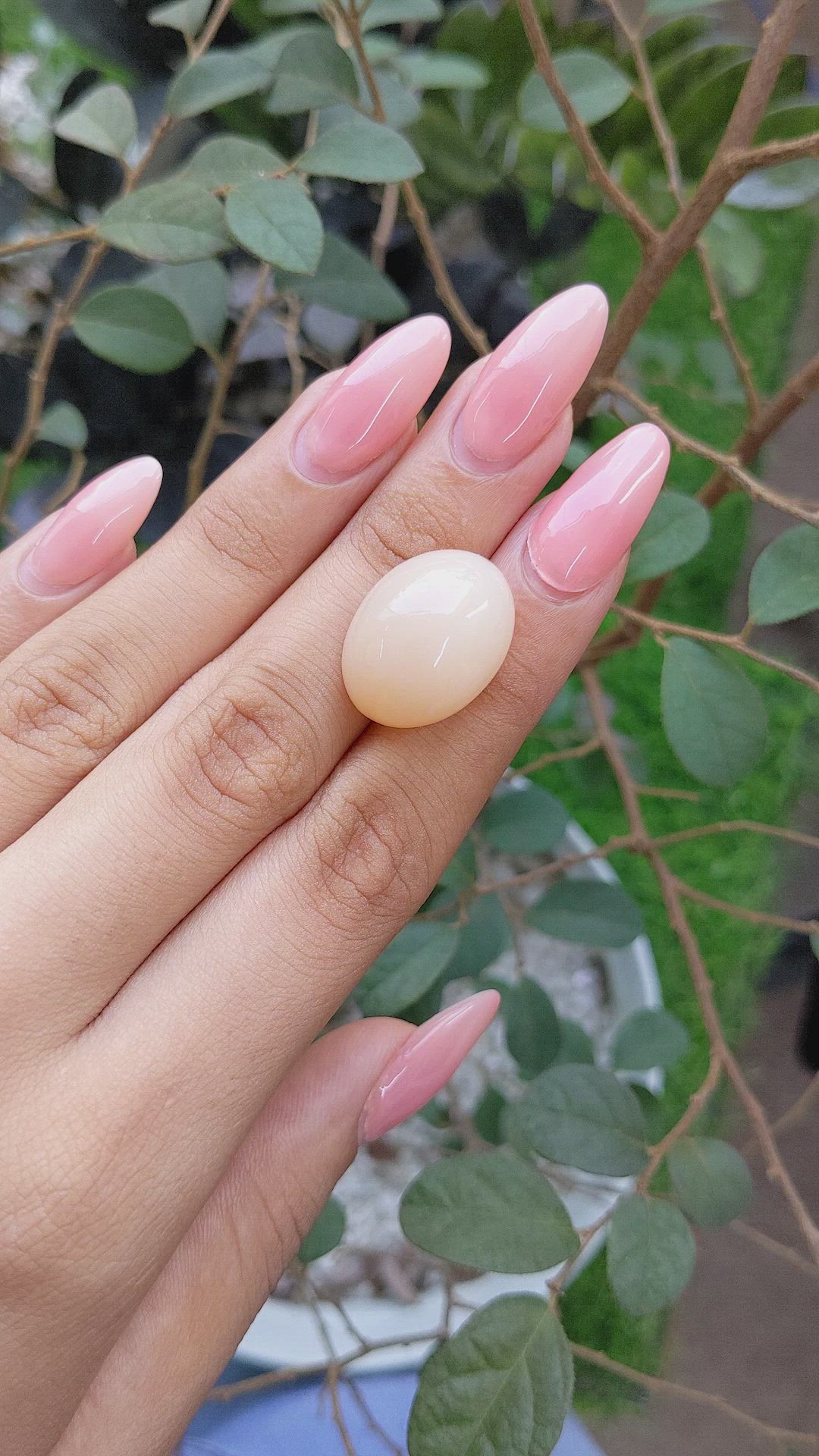 27.07 Ct. Cabochon Moonstone from Ceylon (Sri Lanka) Size Video