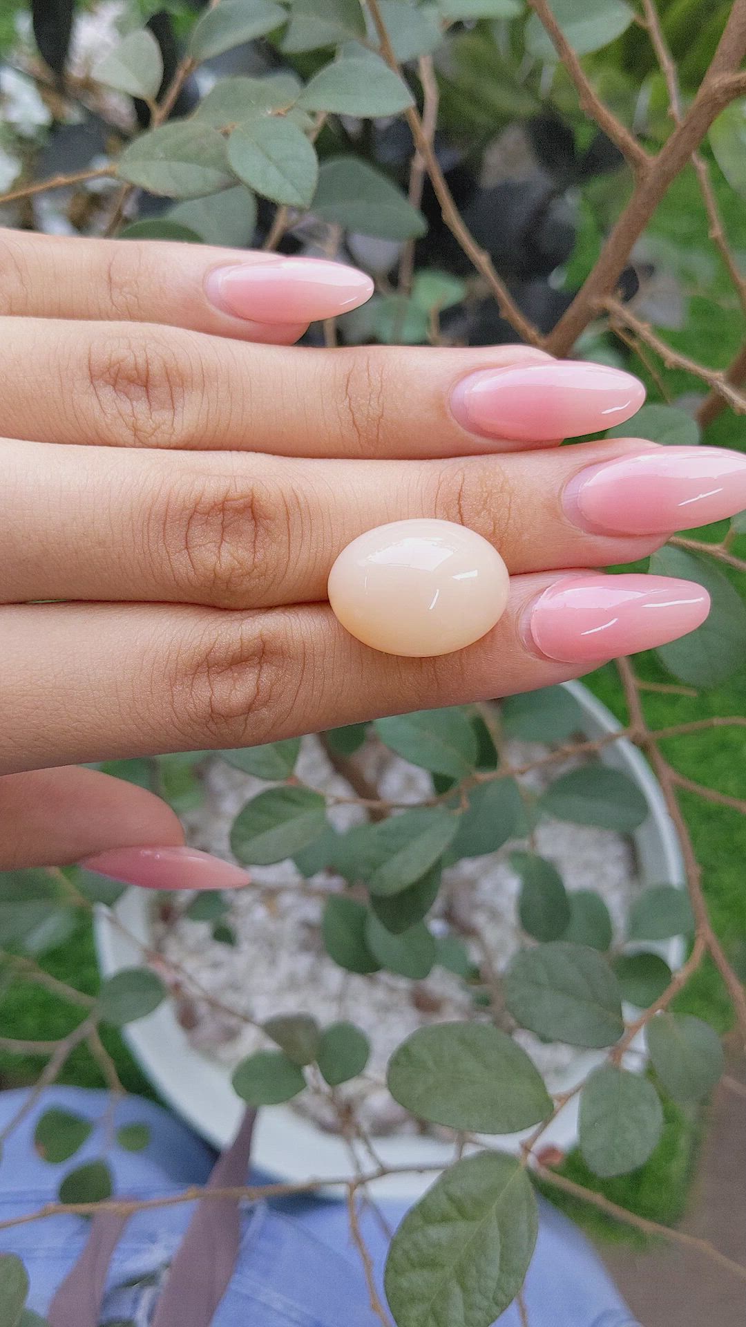 27.07 Ct. Cabochon Moonstone from Ceylon (Sri Lanka) Size Video