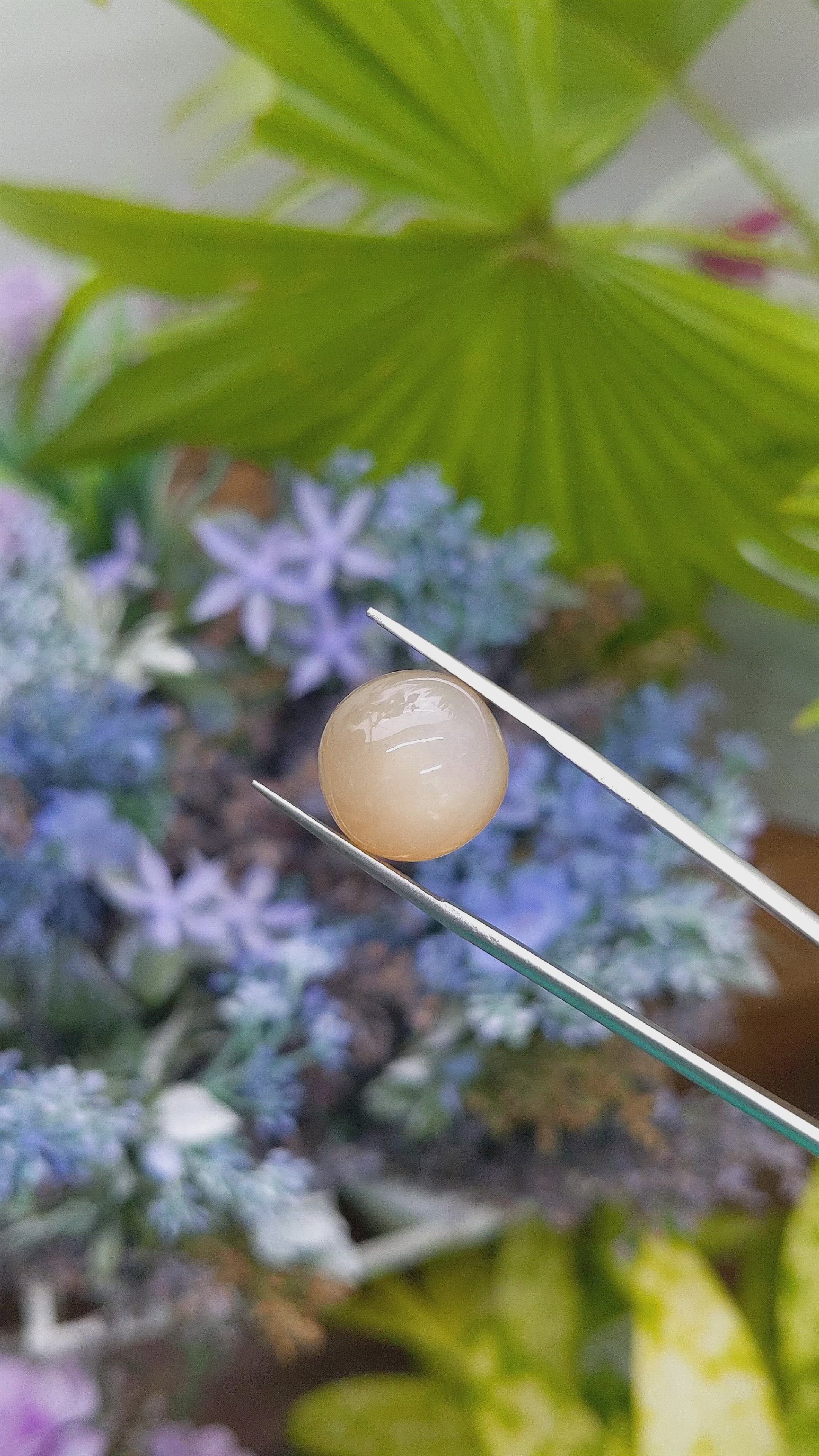 20.82 Ct. Cabochon Moonstone from Ceylon (Sri Lanka) Size Video