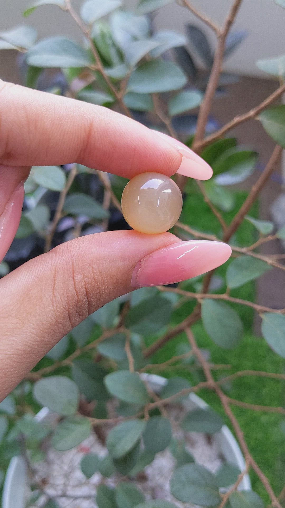 20.82 Ct. Cabochon Moonstone from Ceylon (Sri Lanka) Size Video