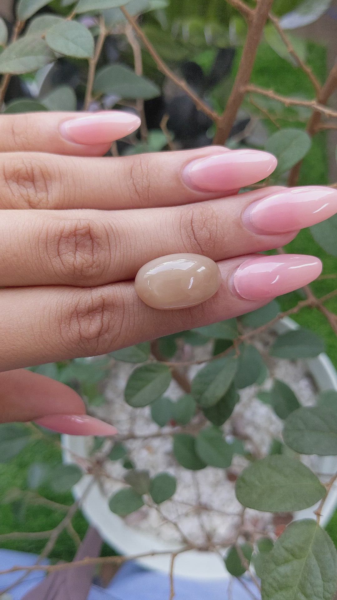 24.41 Ct. Cabochon Moonstone from Ceylon (Sri Lanka) Size Video