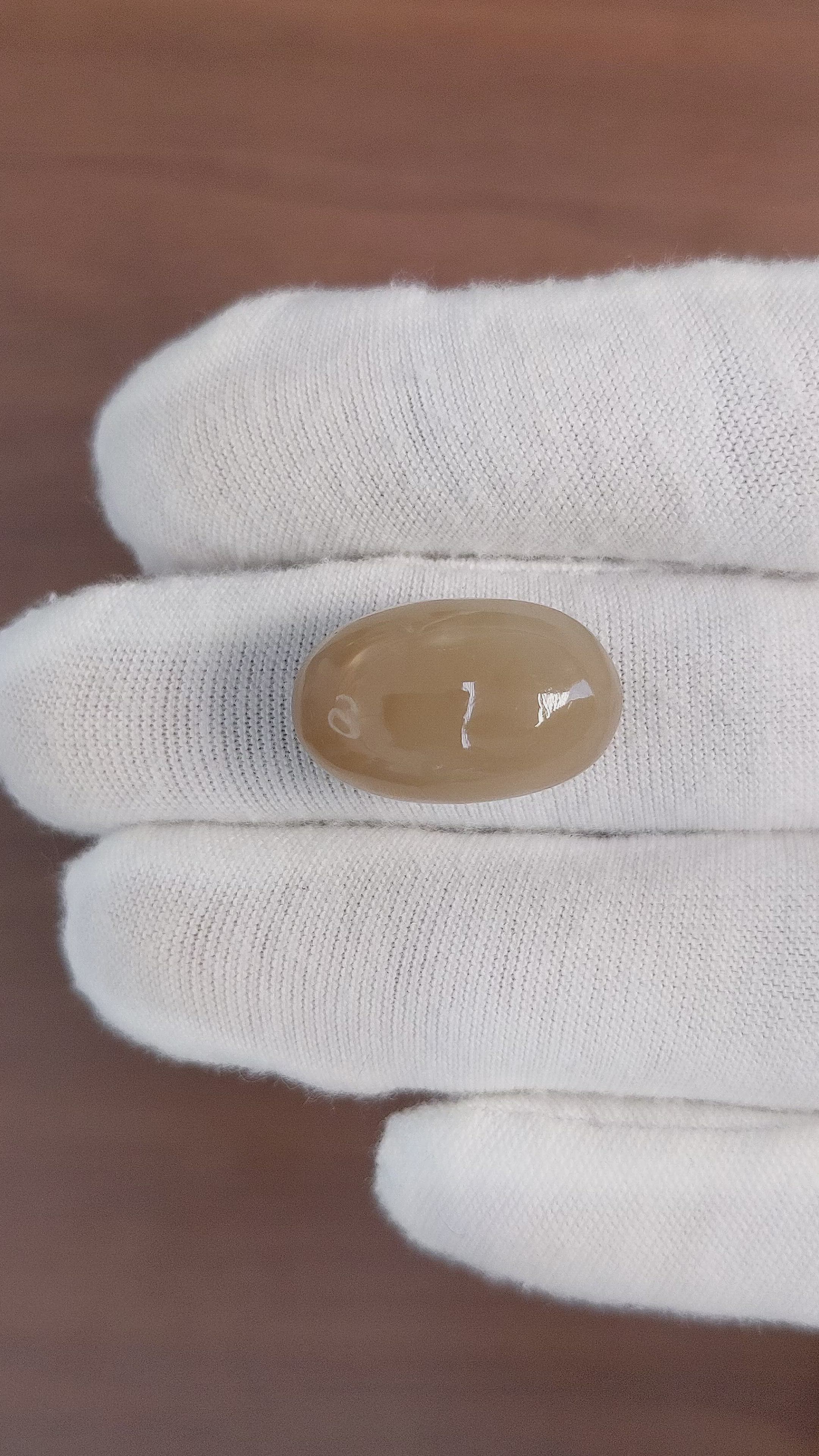 24.41 Ct. Cabochon Moonstone from Ceylon (Sri Lanka) Size Video