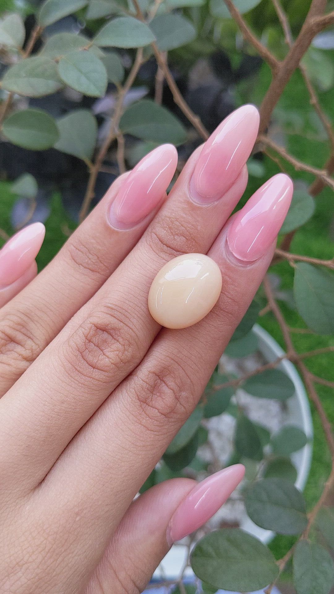16.15 Ct. Cabochon Moonstone from Ceylon (Sri Lanka) Size Video