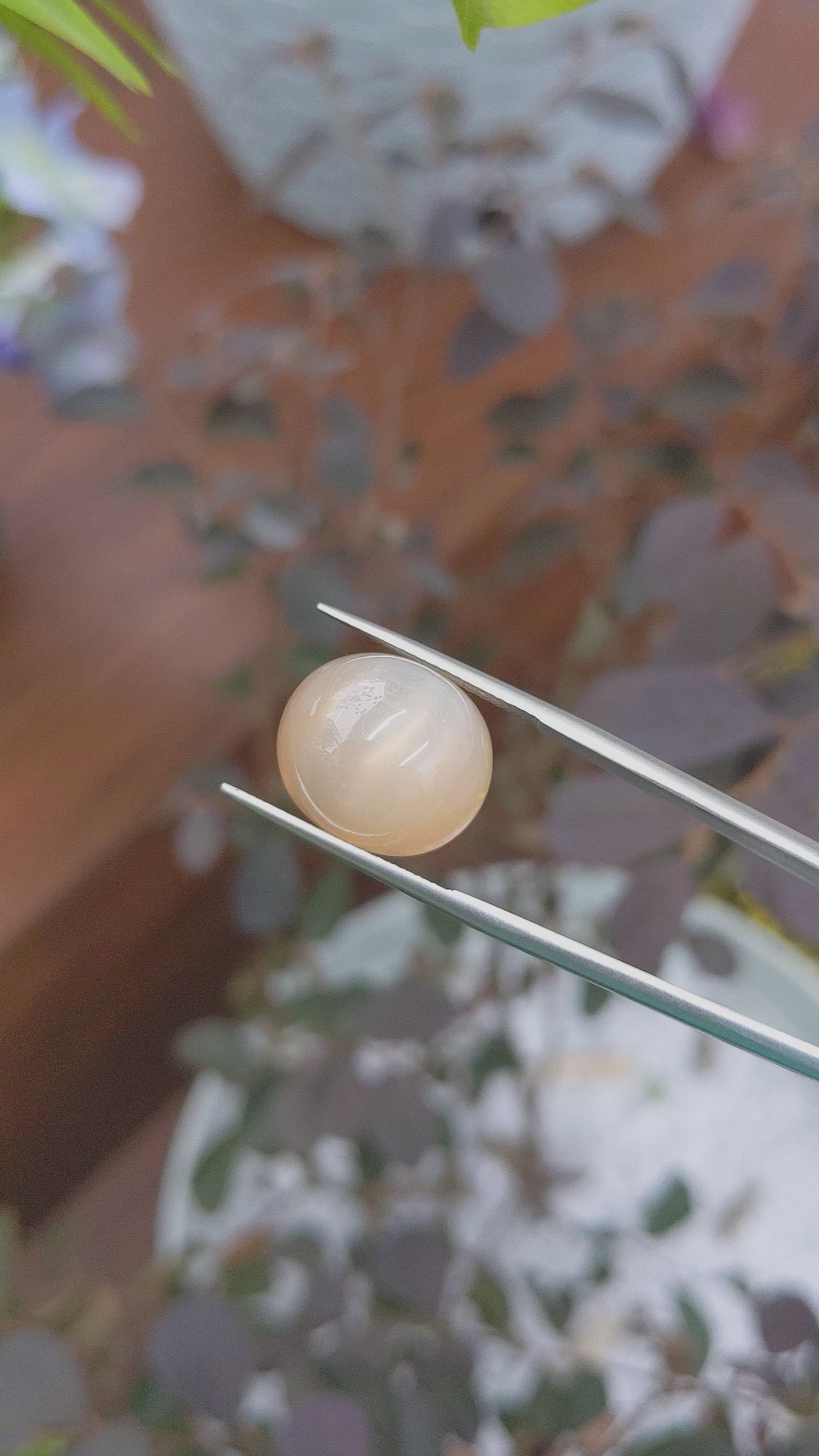 19.29 Ct. Cabochon Moonstone from Ceylon (Sri Lanka) Size Video