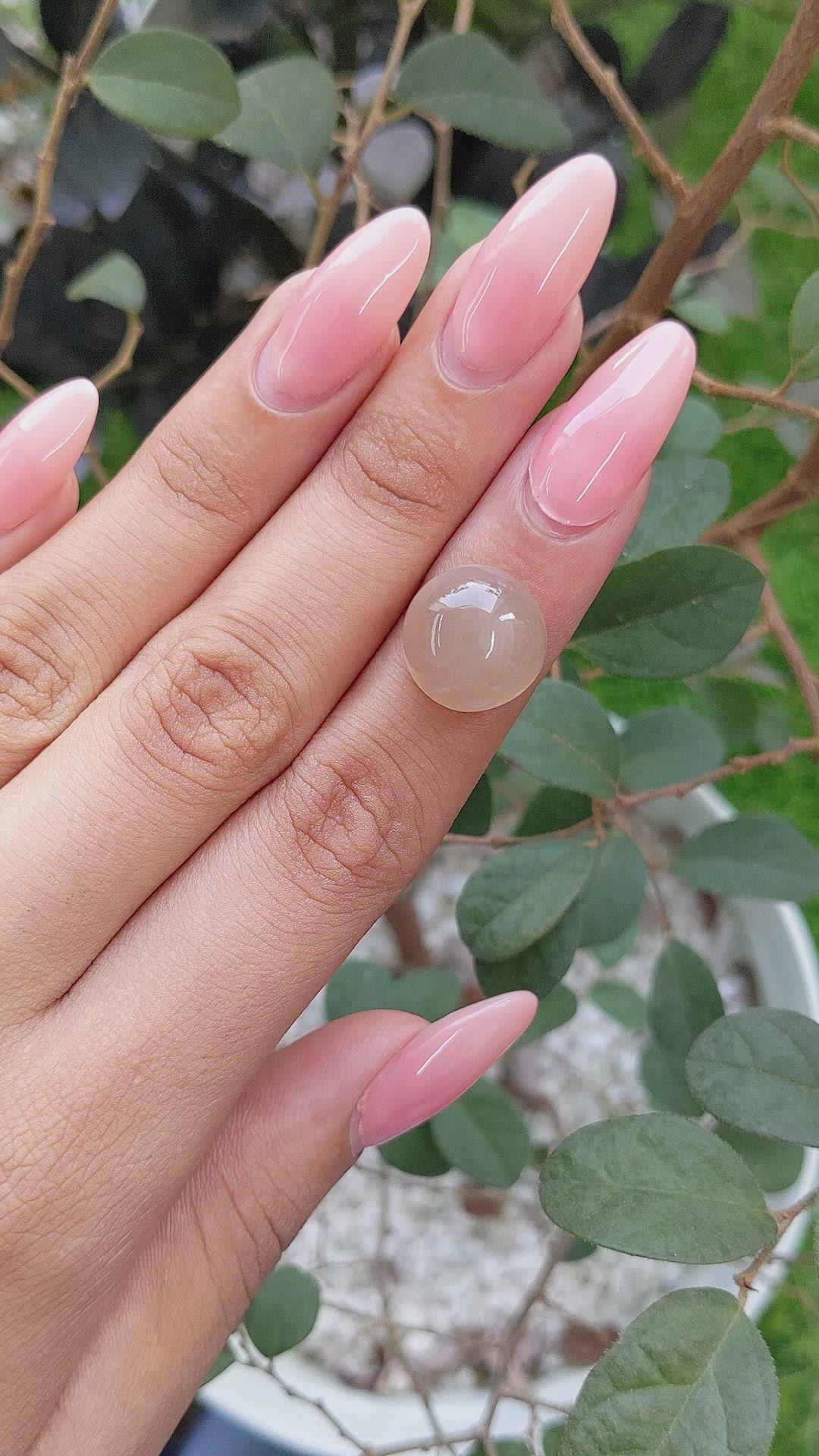 13.46 Ct. Cabochon Moonstone from Ceylon (Sri Lanka) Size Video