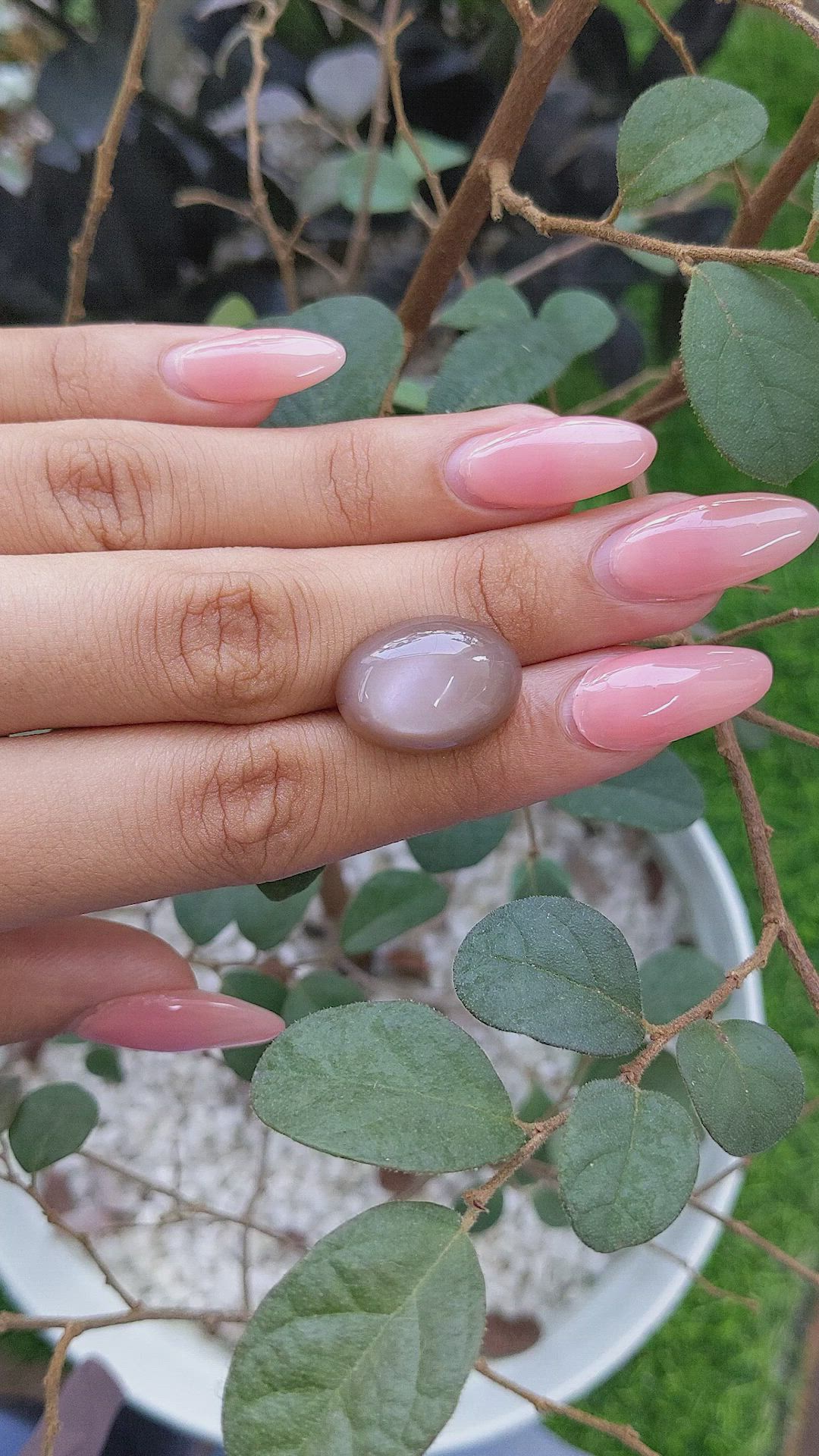 15.14 Ct. Cabochon Moonstone from Ceylon (Sri Lanka) Size Video
