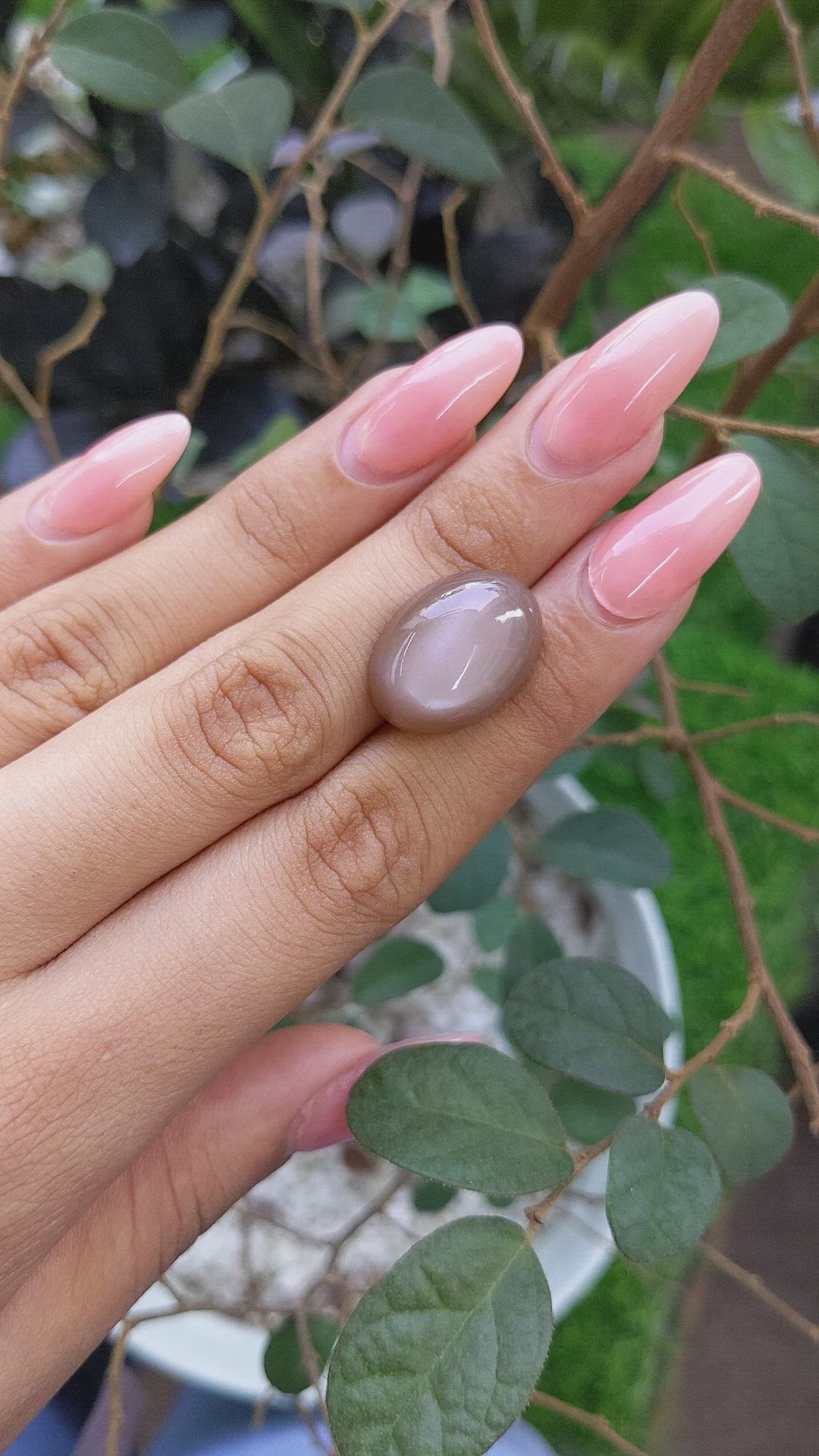 15.14 Ct. Cabochon Moonstone from Ceylon (Sri Lanka) Size Video