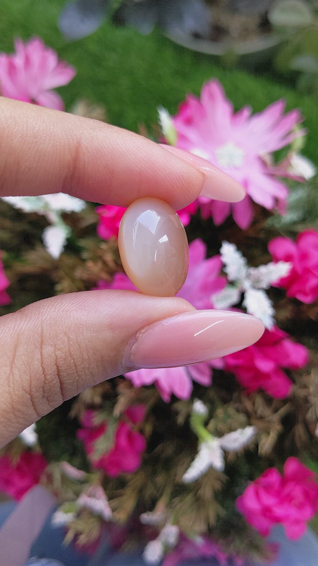 19.22 Ct. Cabochon Moonstone from Ceylon (Sri Lanka) Size Video