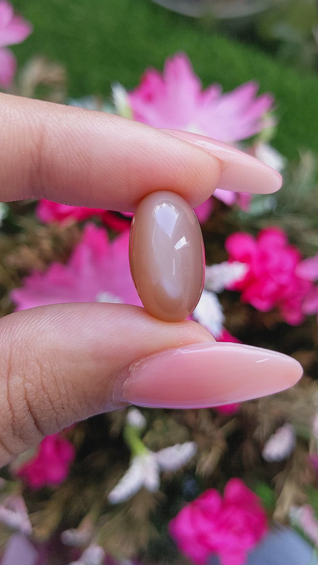 17.95 Ct. Cabochon Moonstone from Ceylon (Sri Lanka) Size Video