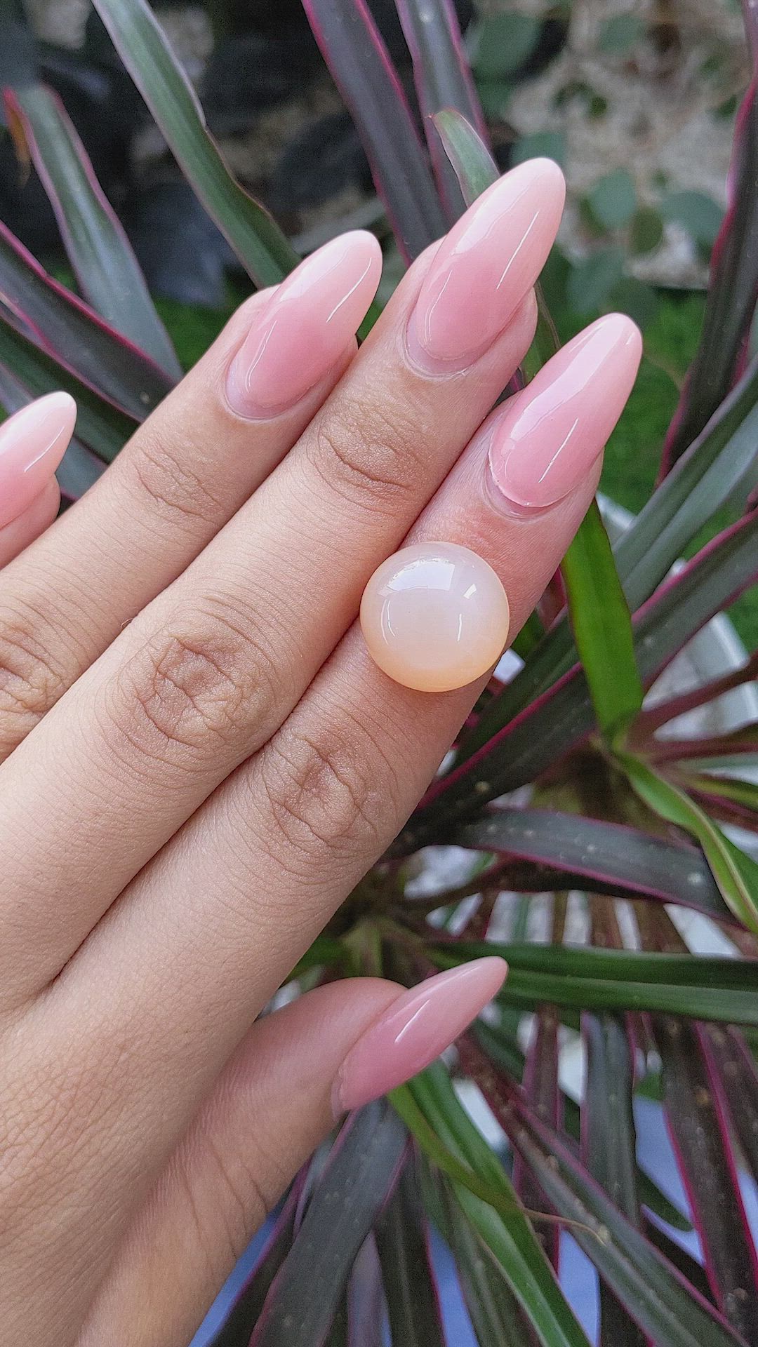 13.44 Ct. Cabochon Moonstone from Ceylon (Sri Lanka) Size Video