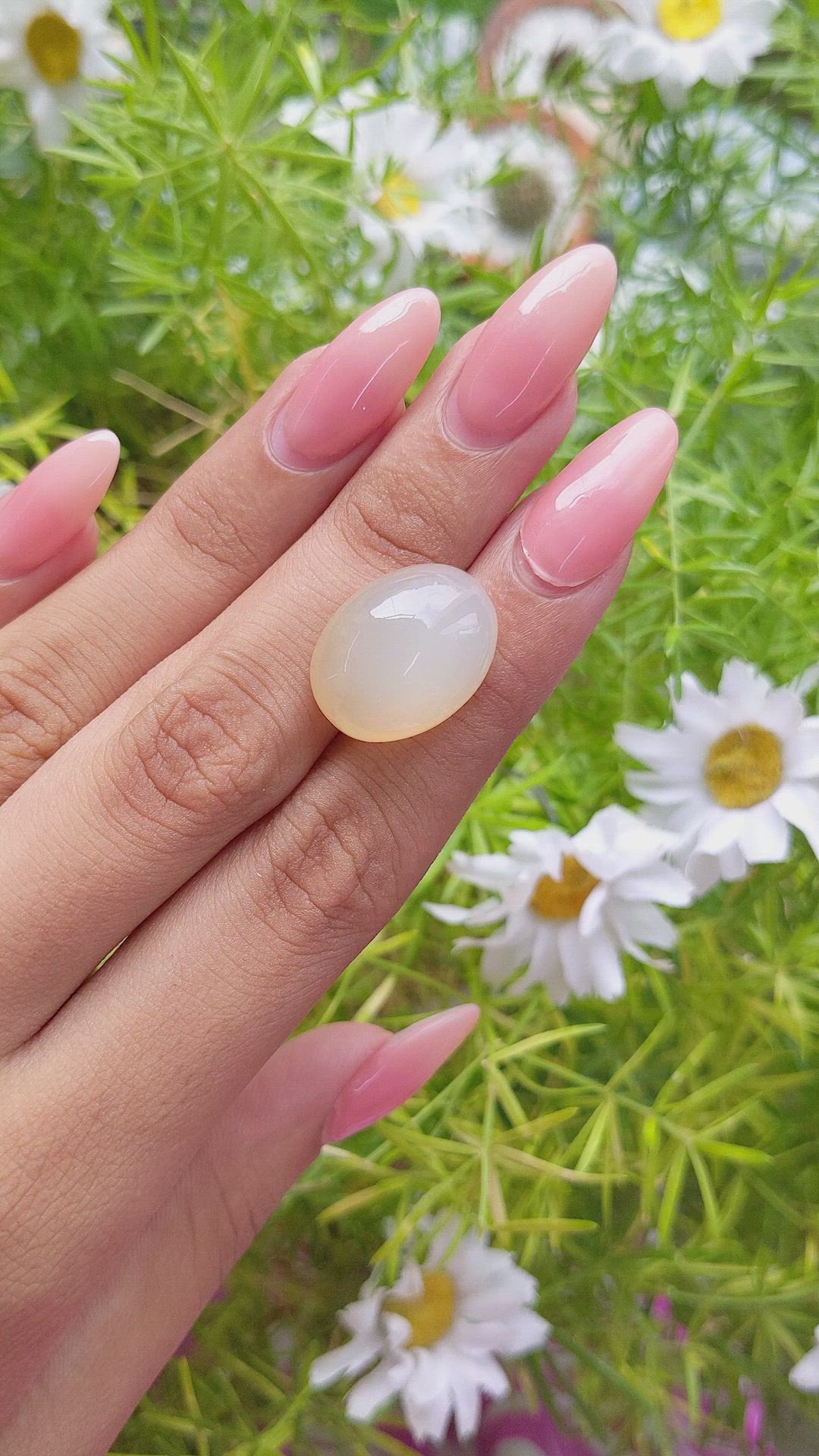19.92 Ct. Cabochon Moonstone from Ceylon (Sri Lanka) Size Video