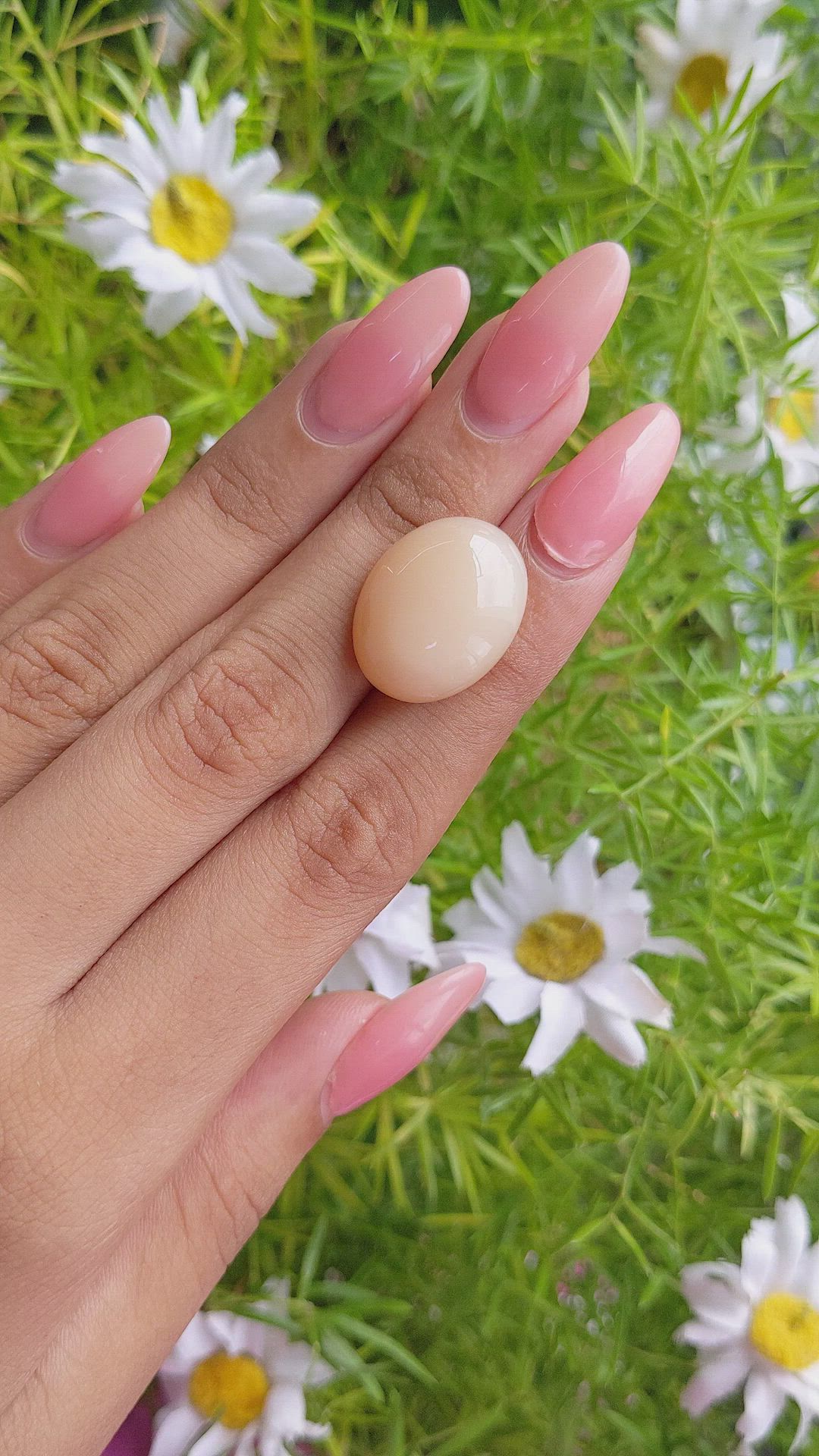 18.80 Ct. Cabochon Moonstone from Ceylon (Sri Lanka) Size Video