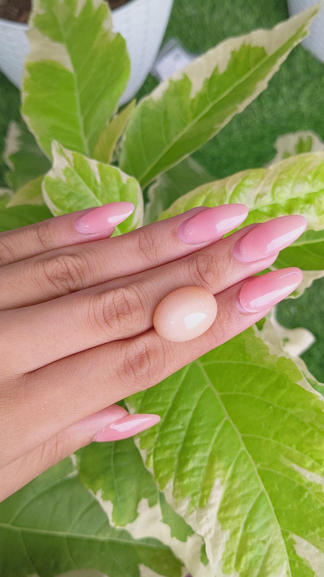 22.98 Ct. Cabochon Moonstone from Ceylon (Sri Lanka) Size Video