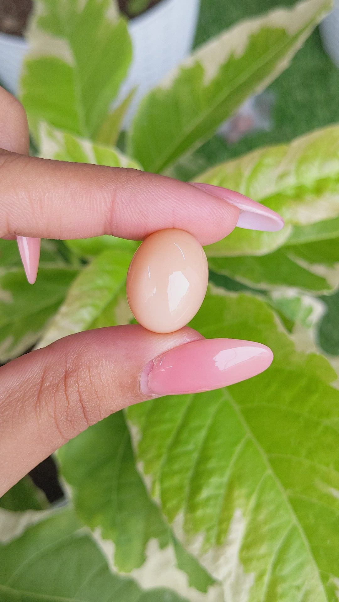 22.98 Ct. Cabochon Moonstone from Ceylon (Sri Lanka) Size Video