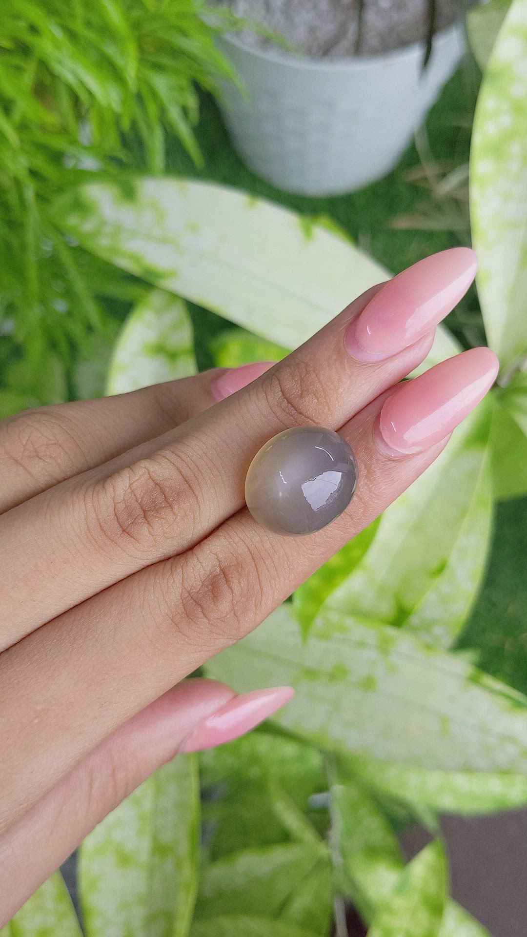 24.08 Ct. Cabochon Moonstone from Ceylon (Sri Lanka) Size Video