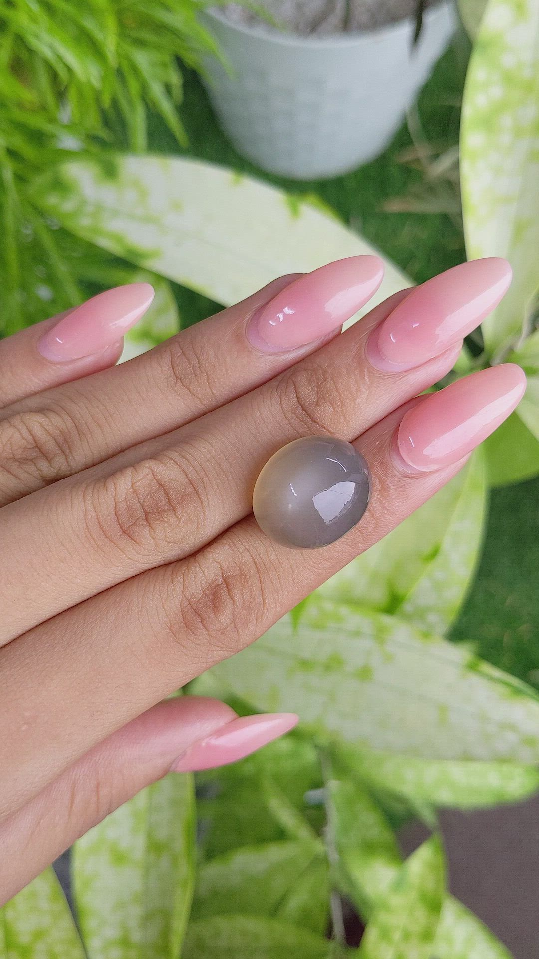 24.08 Ct. Cabochon Moonstone from Ceylon (Sri Lanka) Size Video