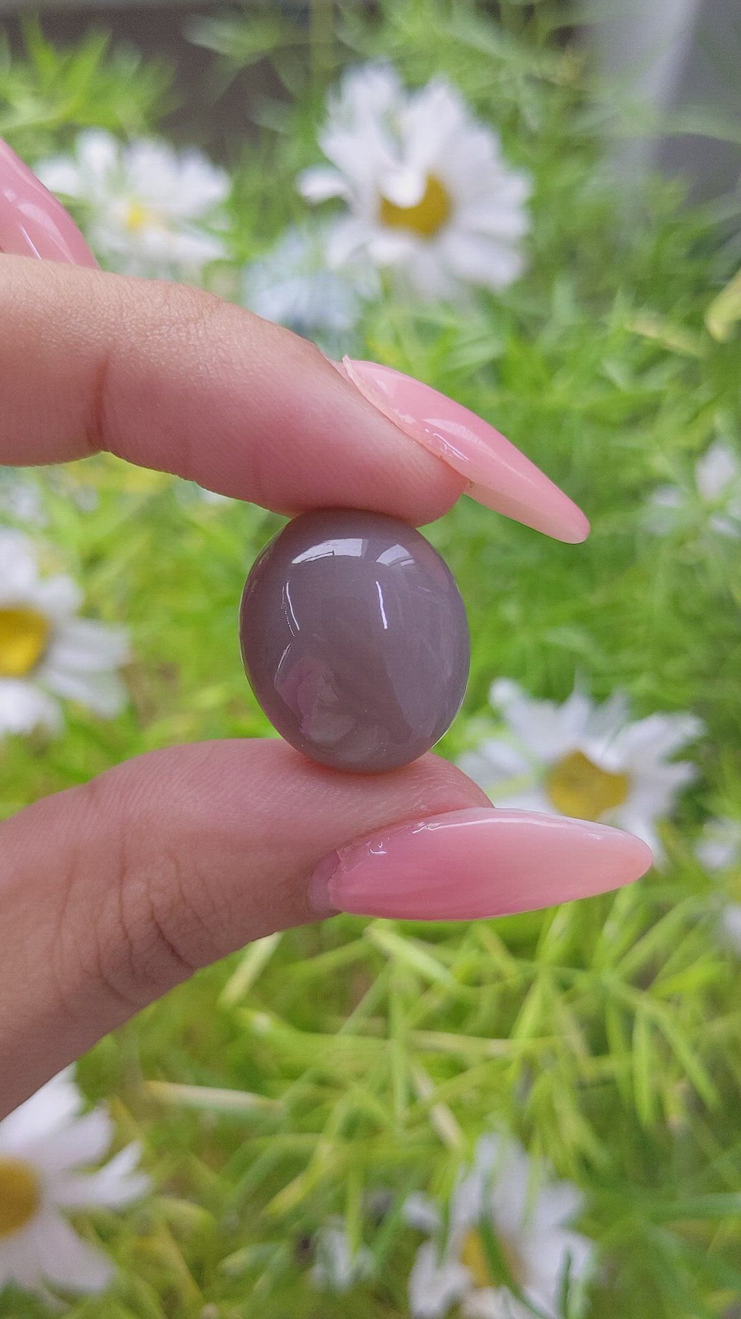 23.67 Ct. Cabochon Moonstone from Ceylon (Sri Lanka) Size Video