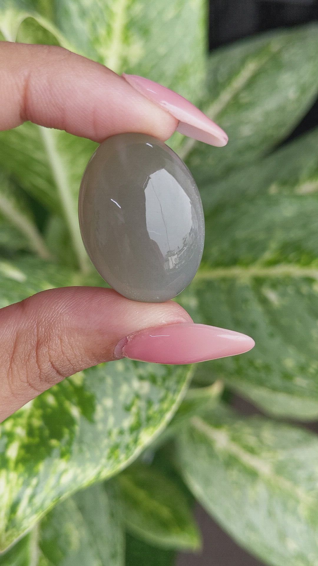 52.25 Ct. Cabochon Moonstone from Ceylon (Sri Lanka) Size Video