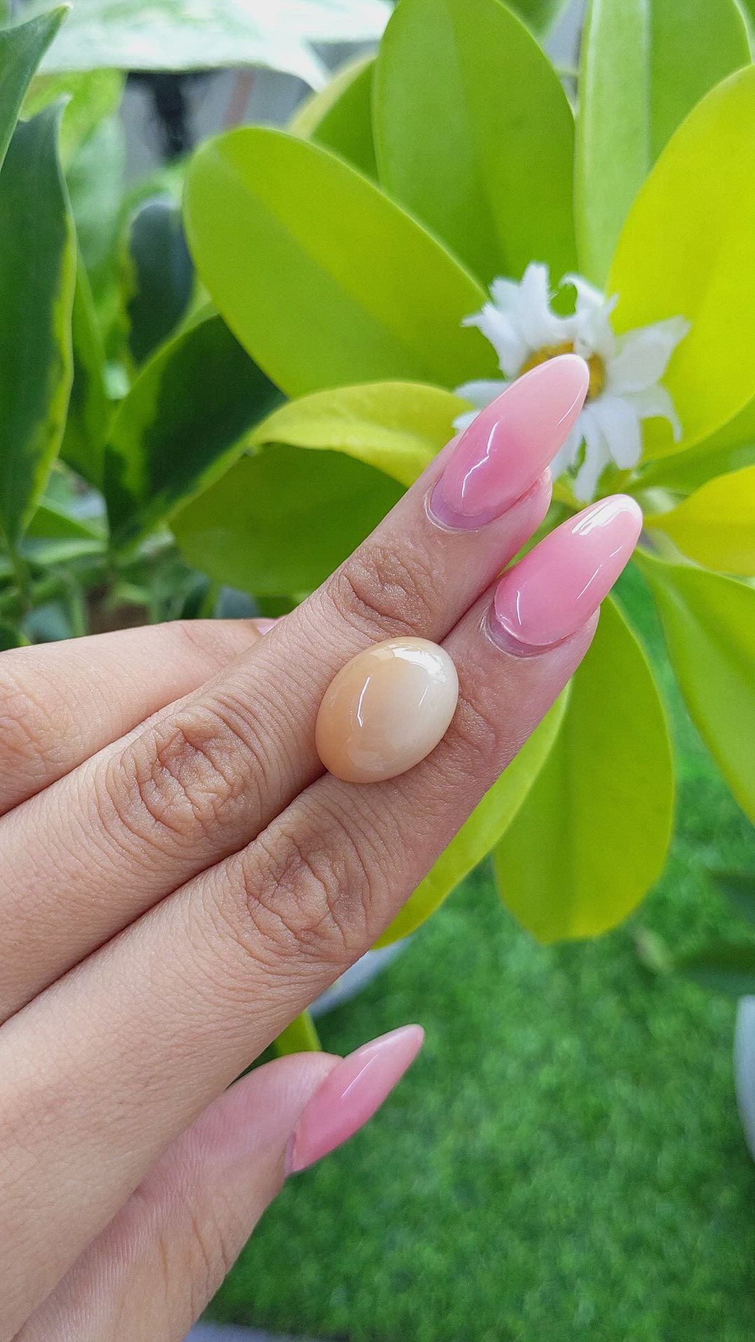 14.29 Ct. Cabochon Moonstone from Ceylon (Sri Lanka) Size Video
