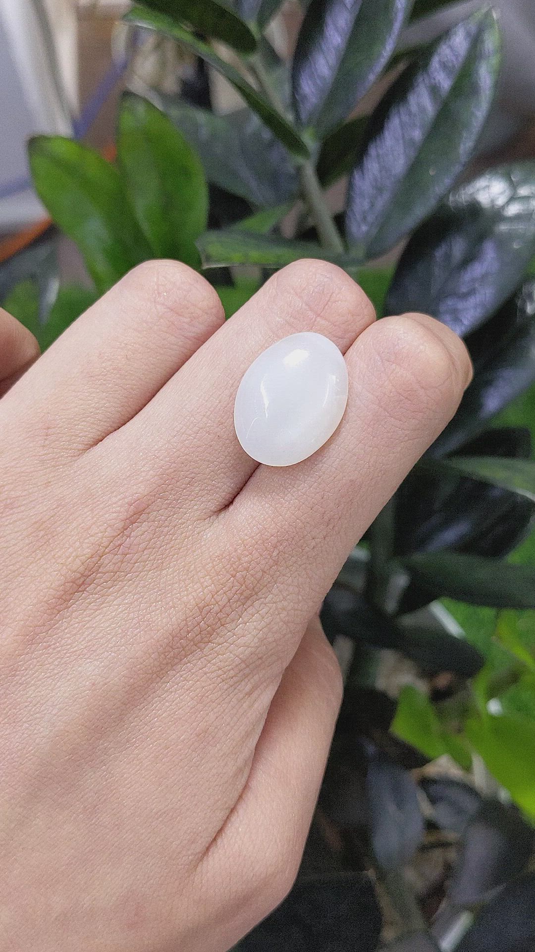 12.30 Ct. Cabochon Moonstone from Ceylon (Sri Lanka) Size Video