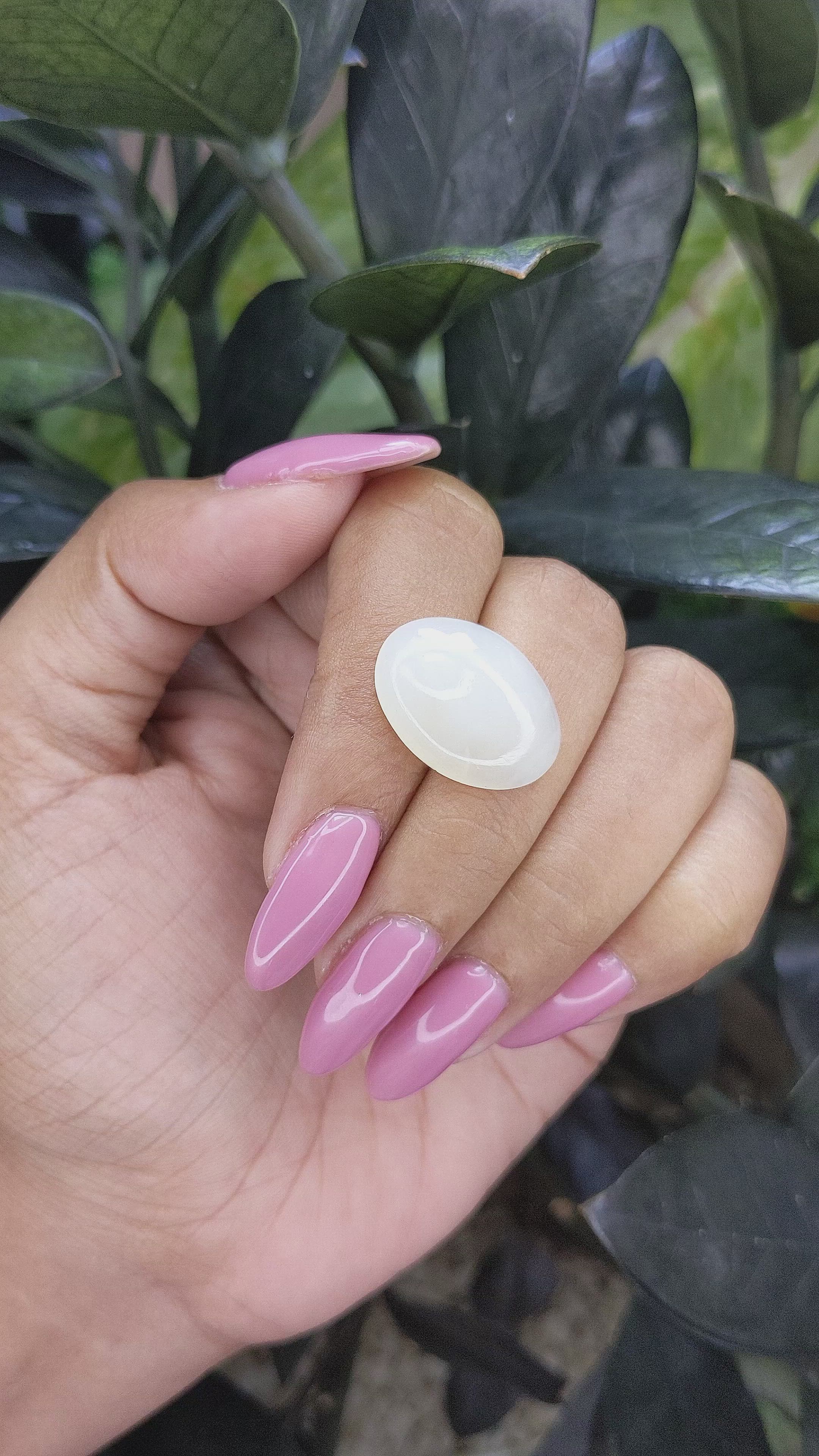 12.30 Ct. Cabochon Moonstone from Ceylon (Sri Lanka) Size Video