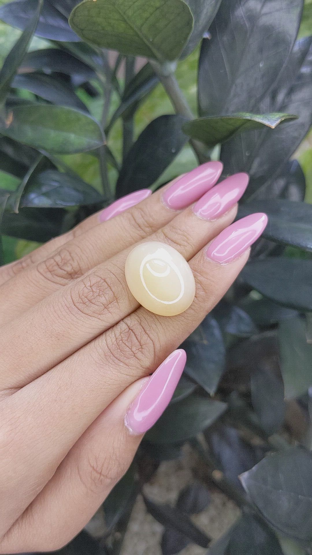 22.90 Ct. Cabochon Moonstone from Ceylon (Sri Lanka) Size Video