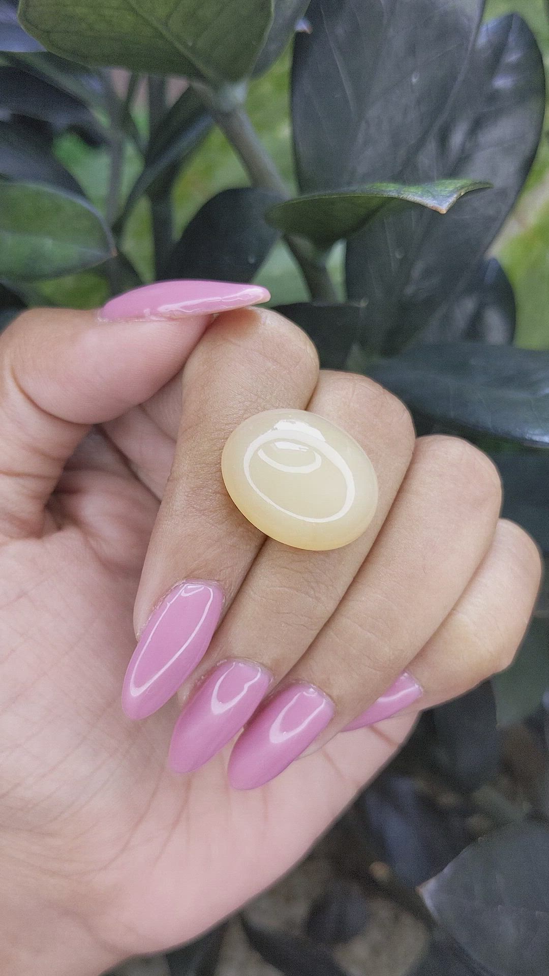 22.90 Ct. Cabochon Moonstone from Ceylon (Sri Lanka) Size Video