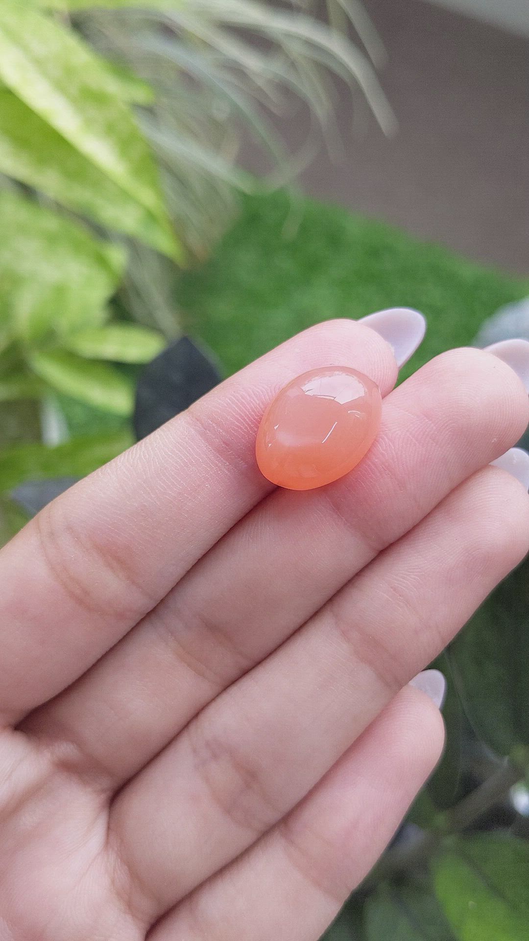 13.43 Ct. Cabochon Moonstone from Ceylon (Sri Lanka) Size Video