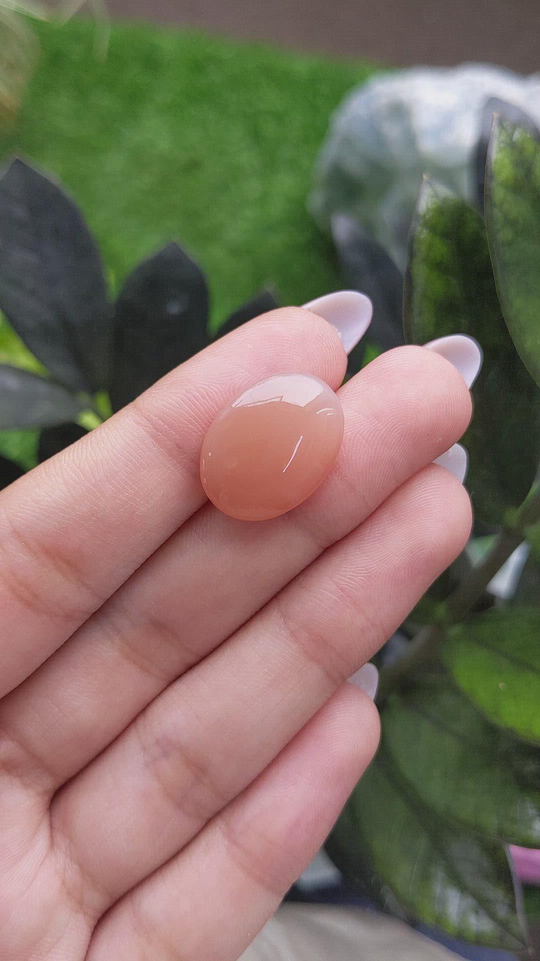 11.99 Ct. Cabochon Moonstone from Ceylon (Sri Lanka) Size Video