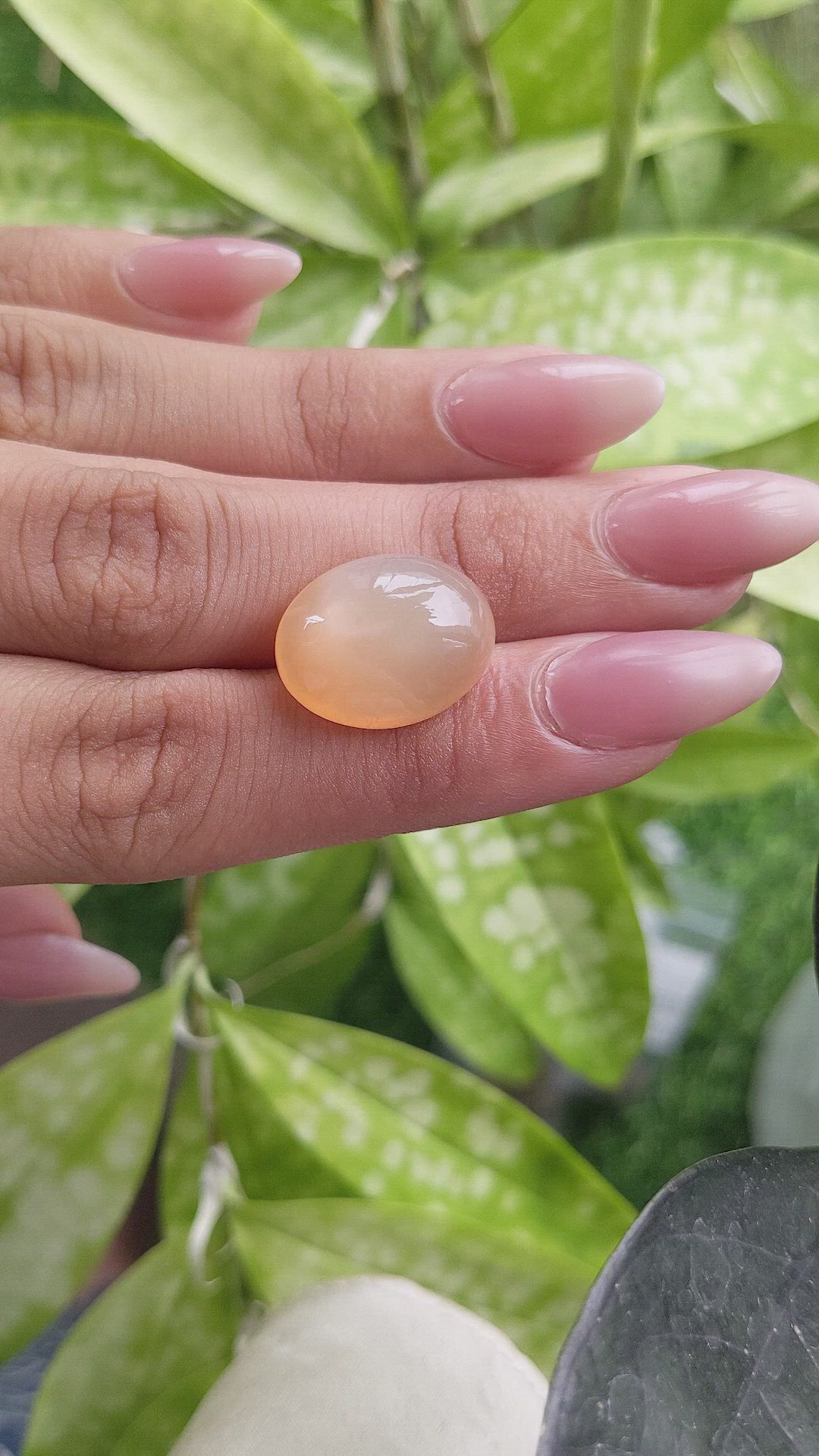 14.45 Ct. Cabochon Moonstone from Ceylon (Sri Lanka) Size Video