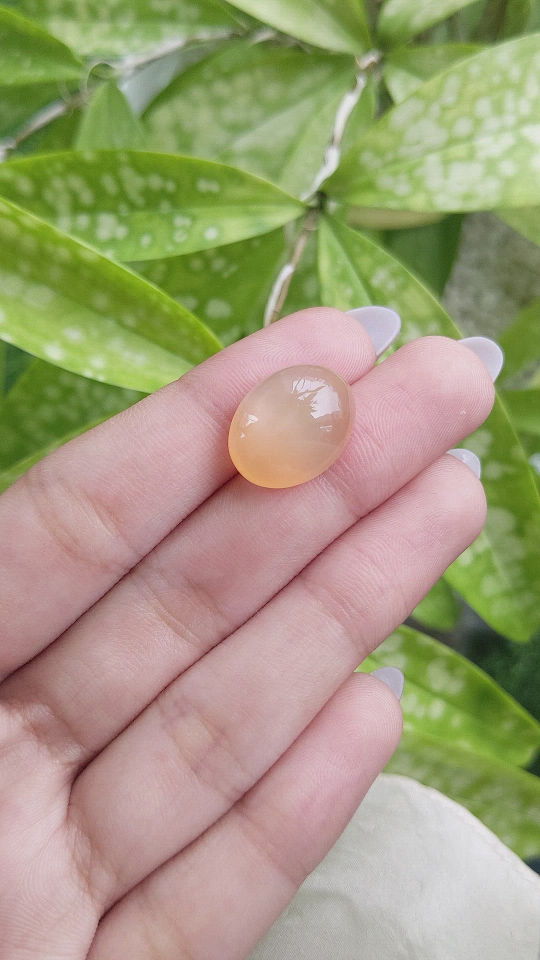 14.45 Ct. Cabochon Moonstone from Ceylon (Sri Lanka) Size Video