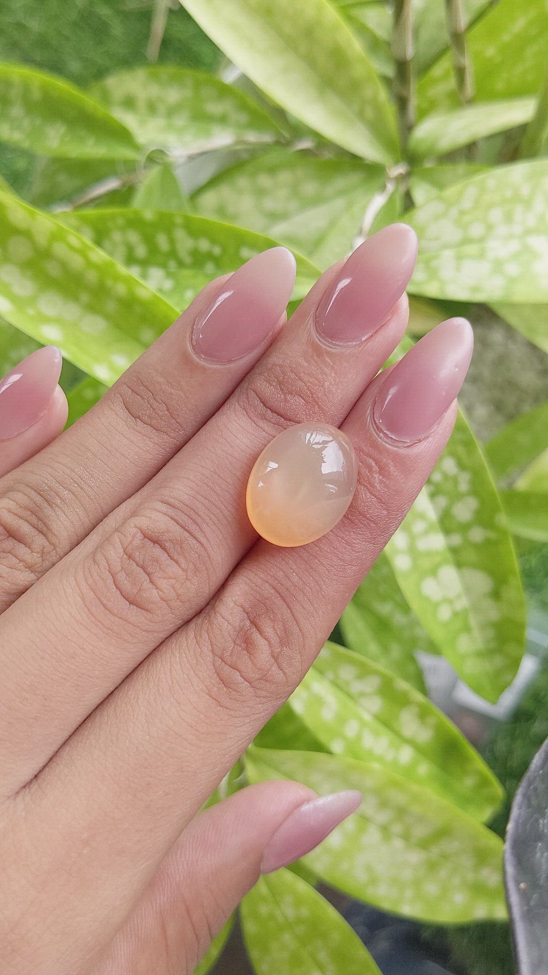 14.45 Ct. Cabochon Moonstone from Ceylon (Sri Lanka) Size Video