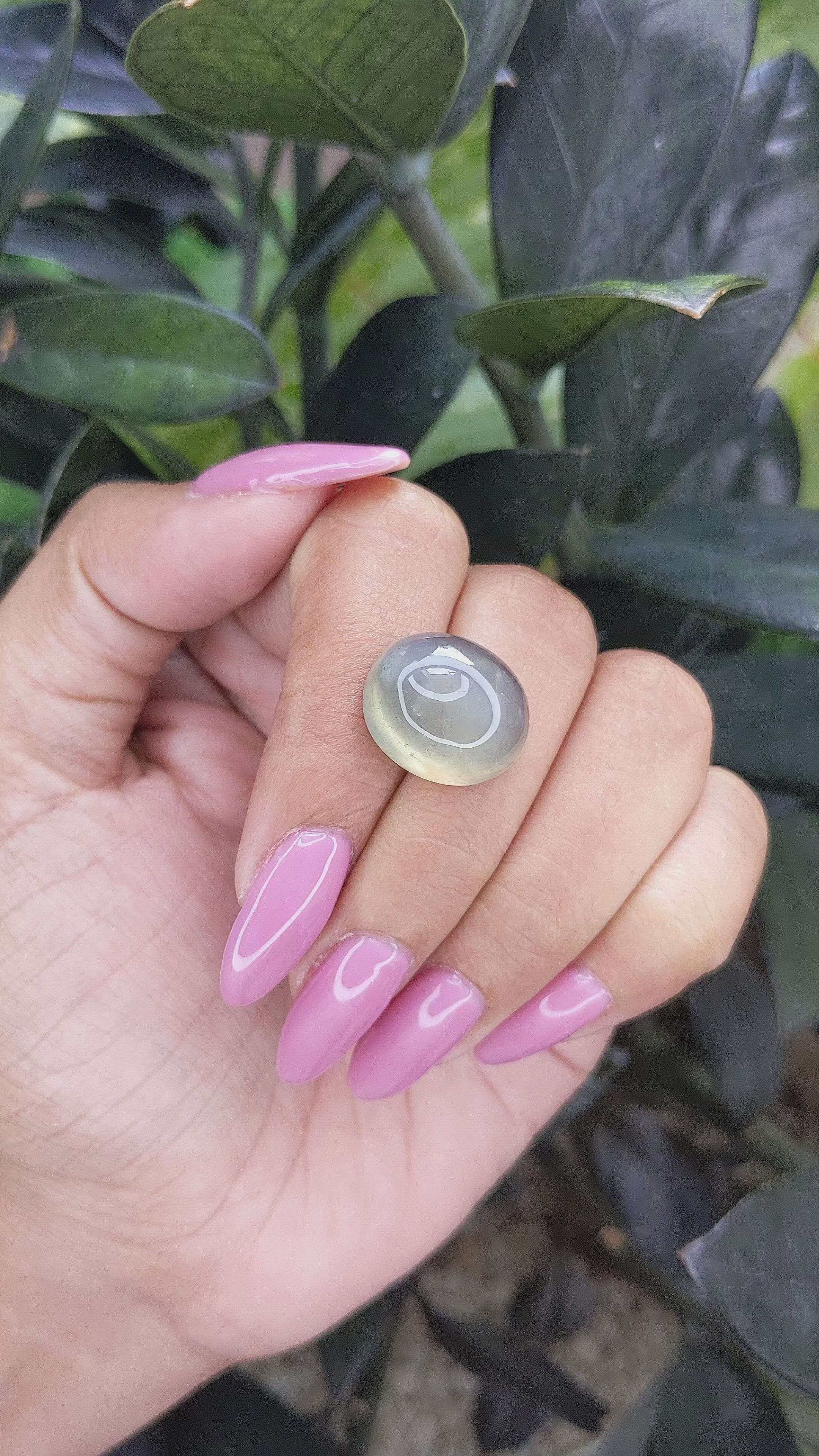 15.45 Ct. Cabochon Moonstone from Ceylon (Sri Lanka) Size Video