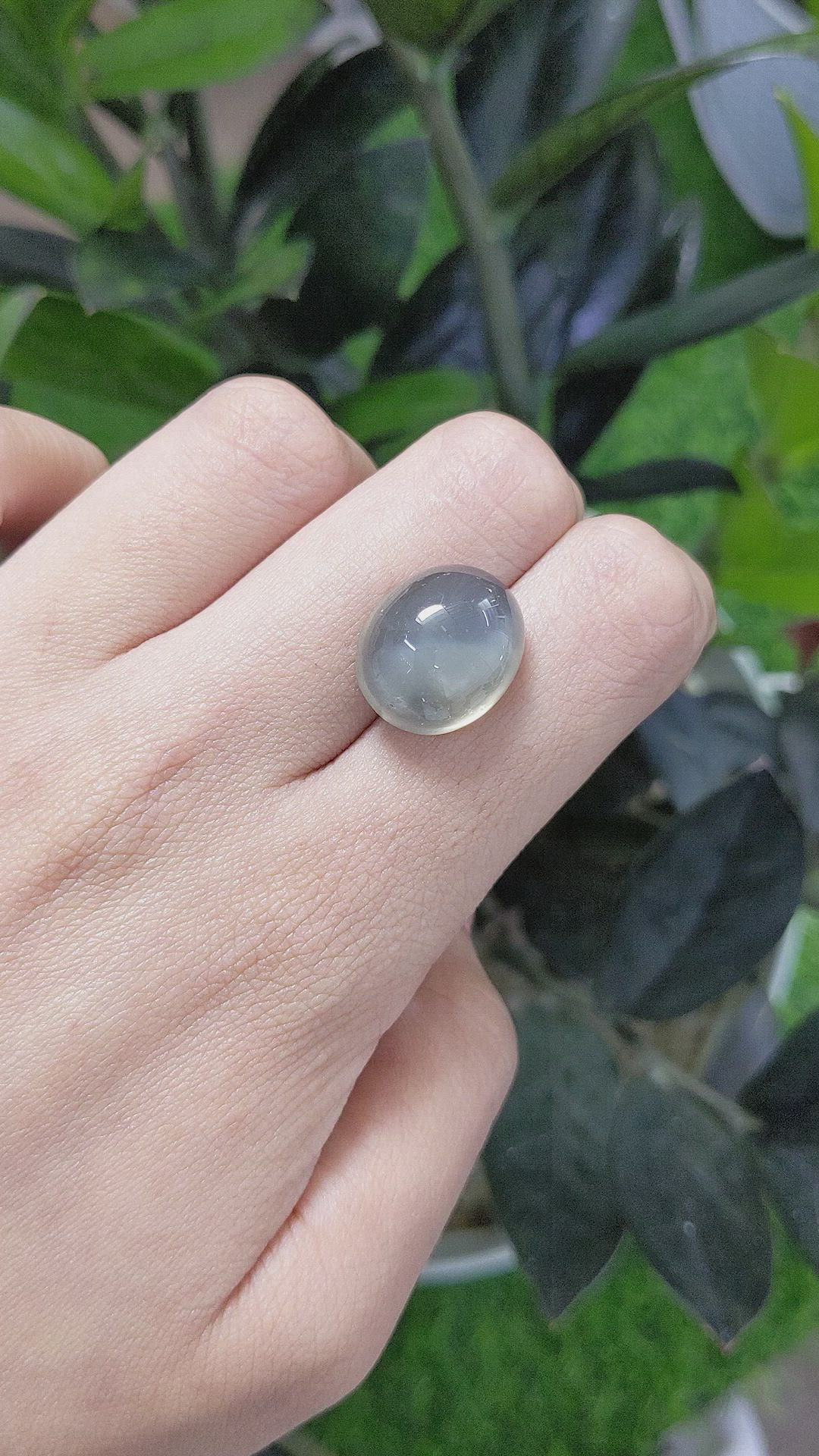 15.45 Ct. Cabochon Moonstone from Ceylon (Sri Lanka) Size Video