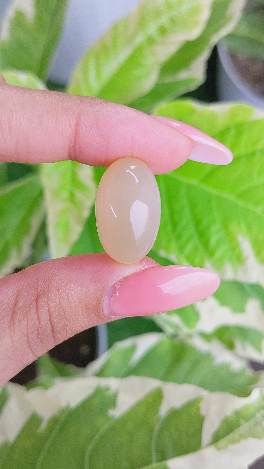 29.35 Ct. Cabochon Moonstone from Ceylon (Sri Lanka) Size Video