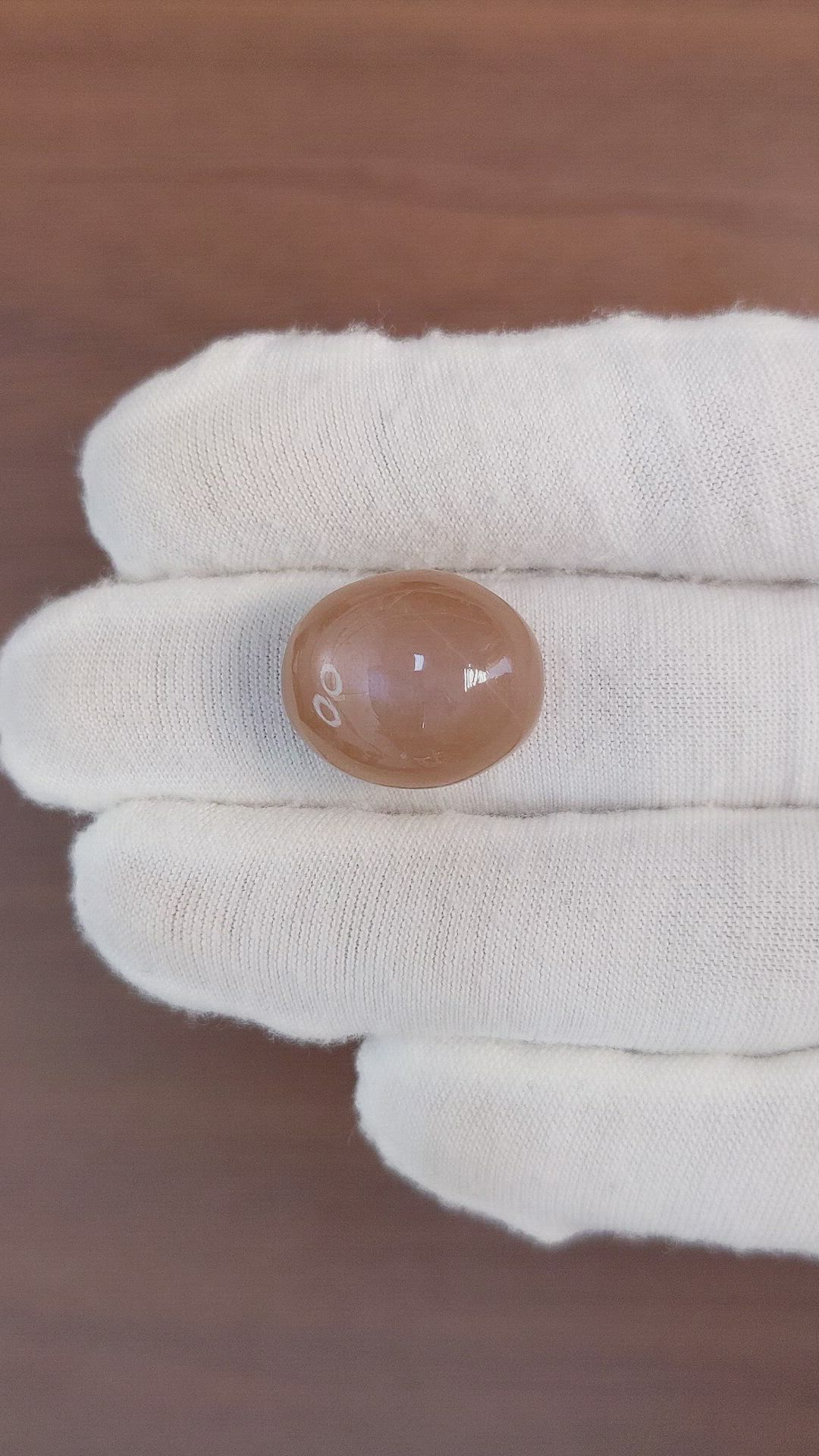 24.94 Ct. Cabochon Moonstone from Ceylon (Sri Lanka) Size Video
