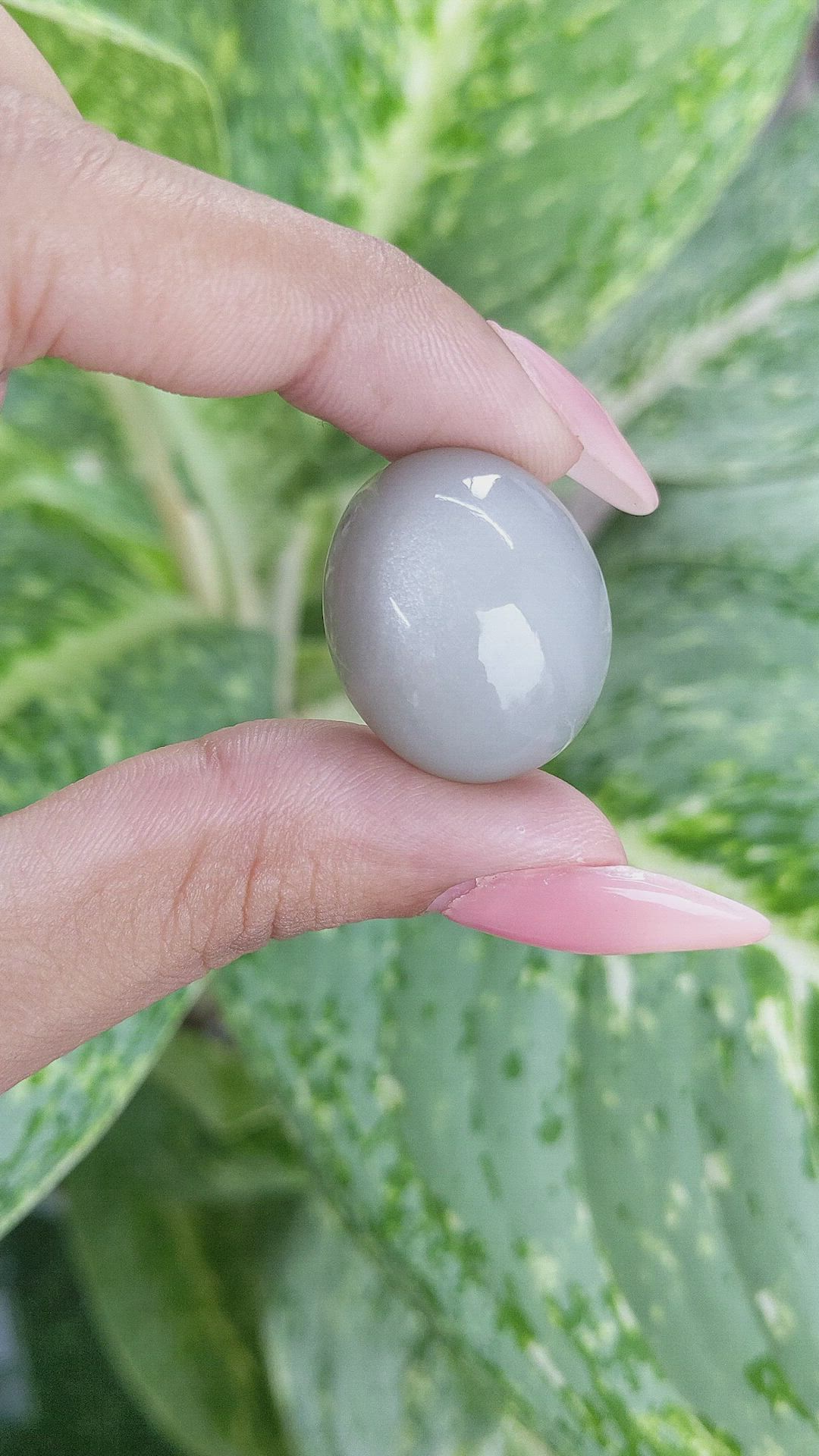 50.09 Ct. Cabochon Moonstone from Ceylon (Sri Lanka) Size Video