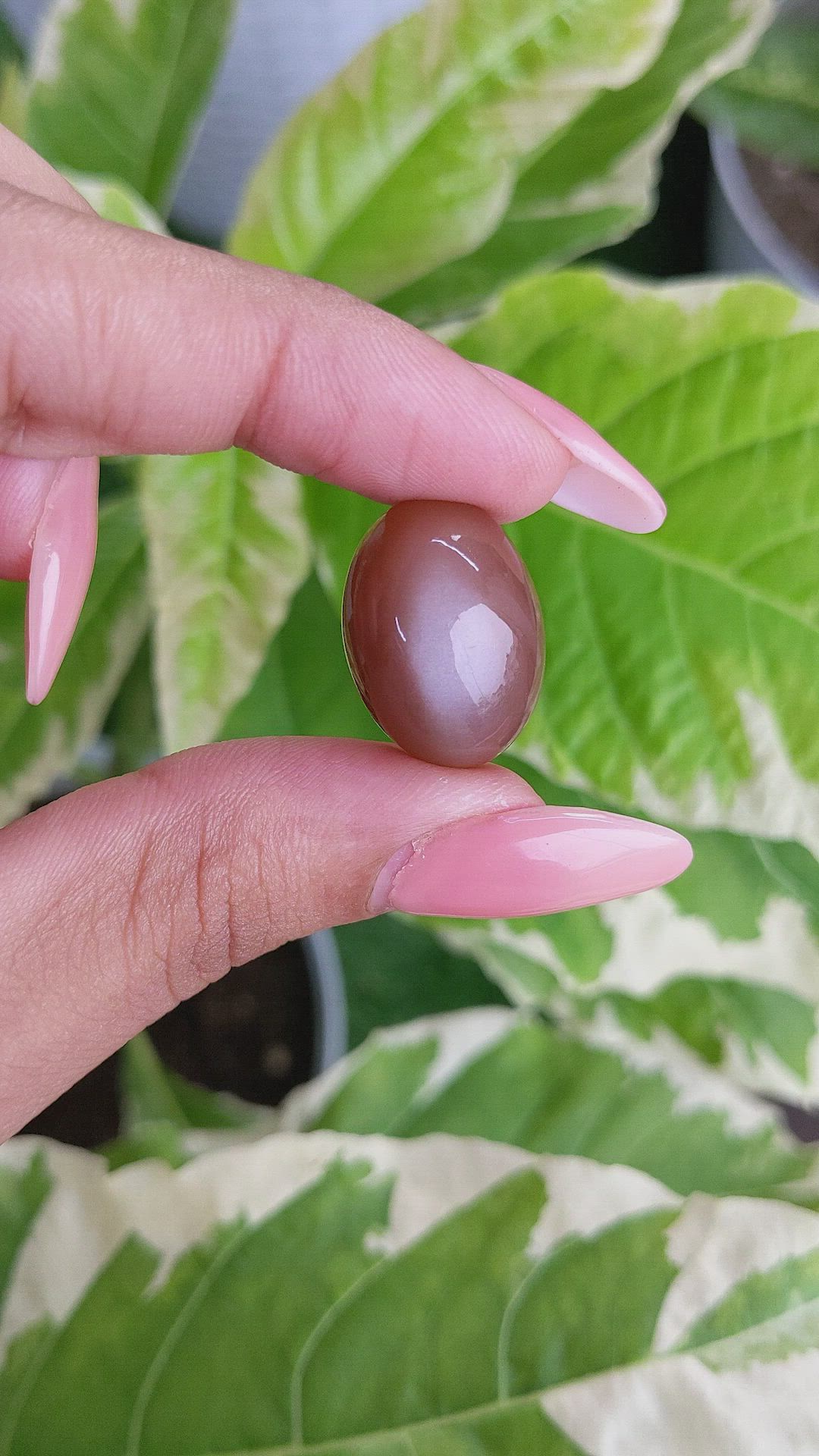 26.27 Ct. Cabochon Moonstone from Ceylon (Sri Lanka) Size Video