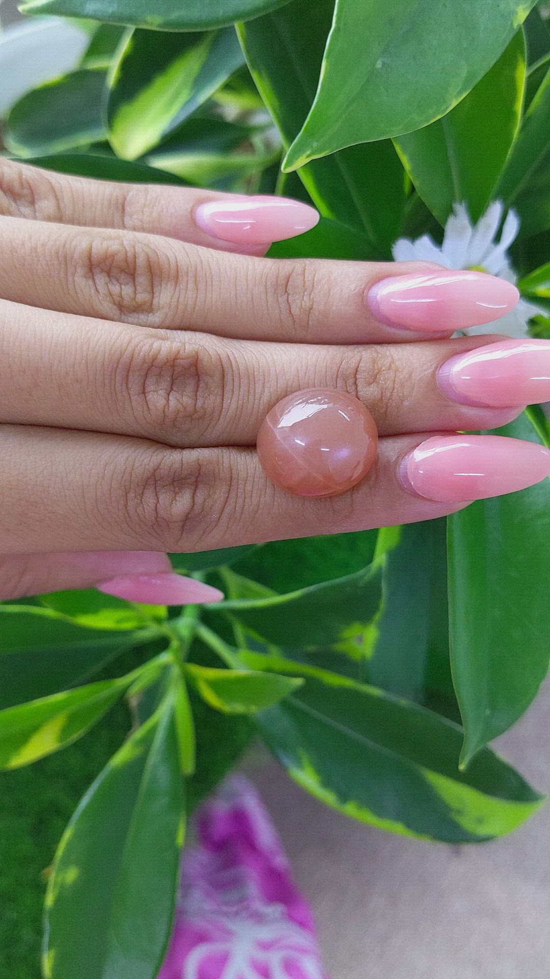 26.01 Ct. Cabochon Moonstone from Ceylon (Sri Lanka) Size Video