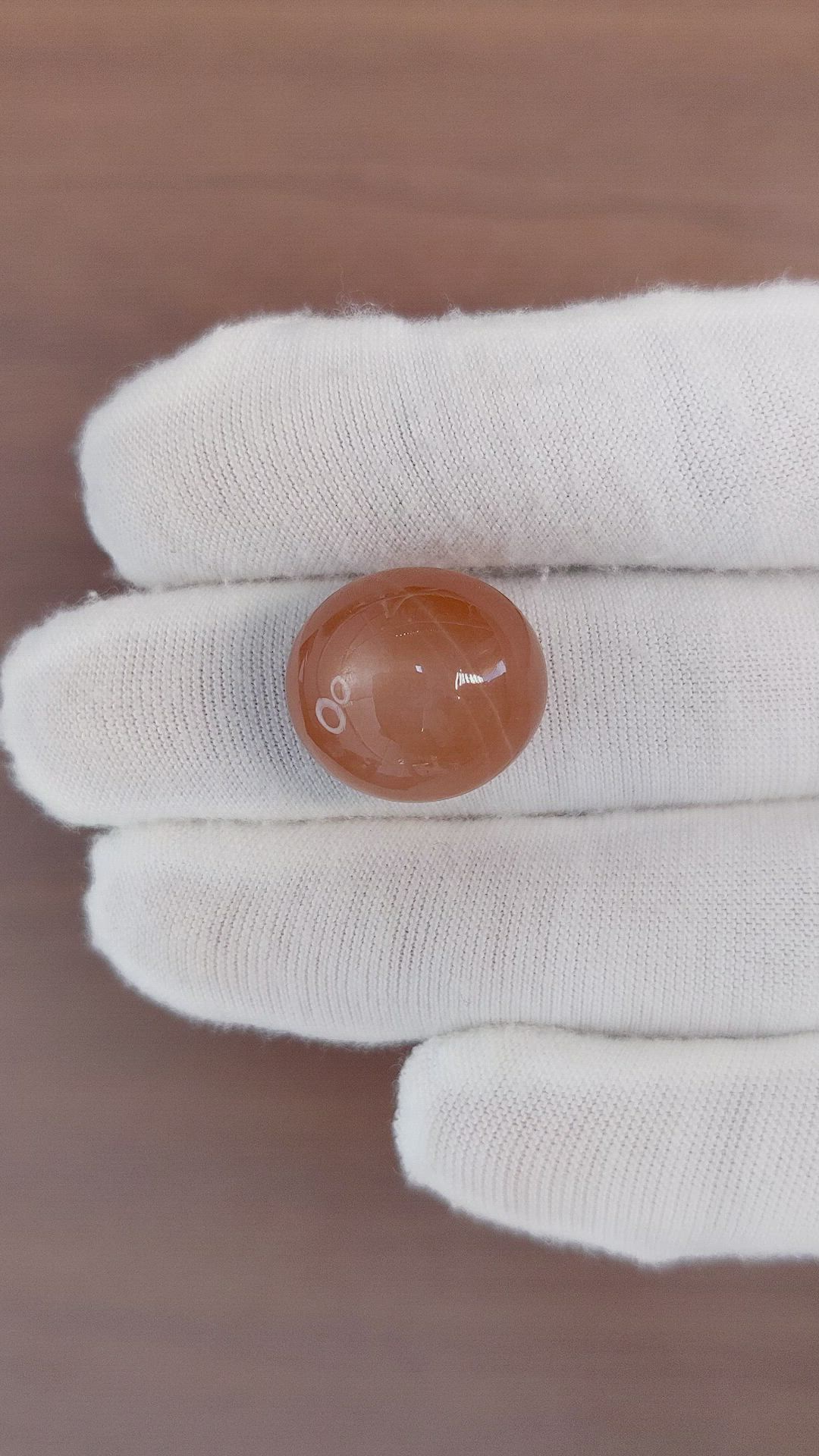 26.01 Ct. Cabochon Moonstone from Ceylon (Sri Lanka) Size Video