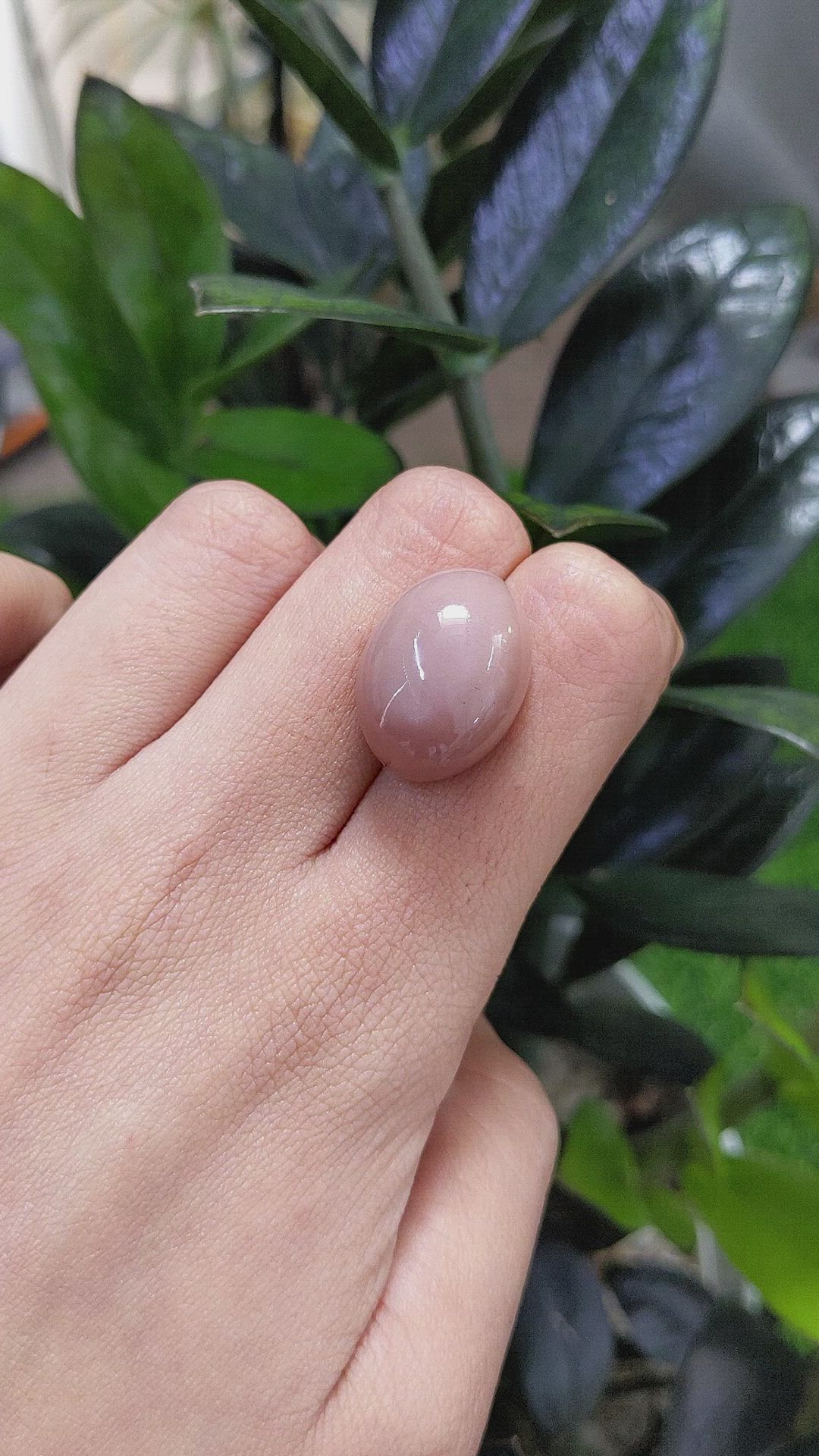 28.01 Ct. Cabochon Moonstone from Ceylon (Sri Lanka) Size Video
