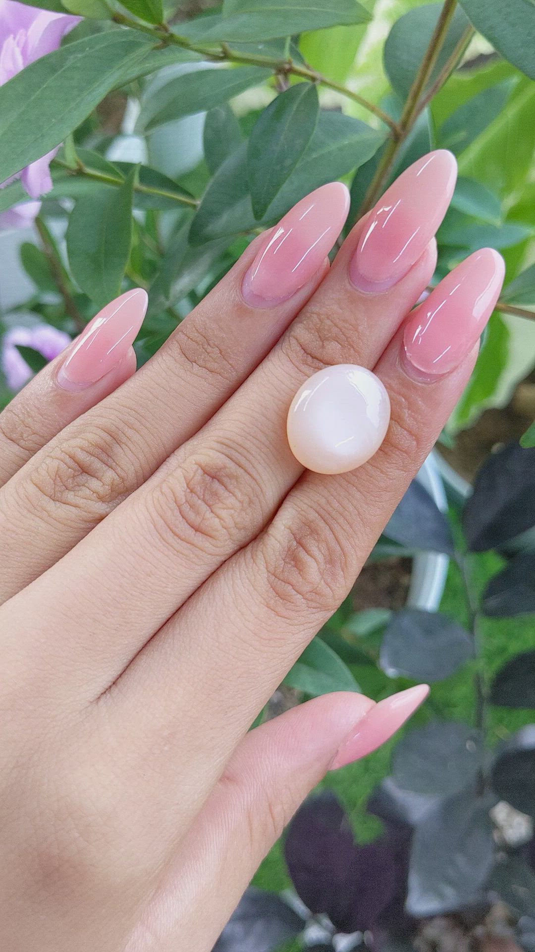 13.20 Ct. Cabochon Moonstone from Ceylon (Sri Lanka) Size Video