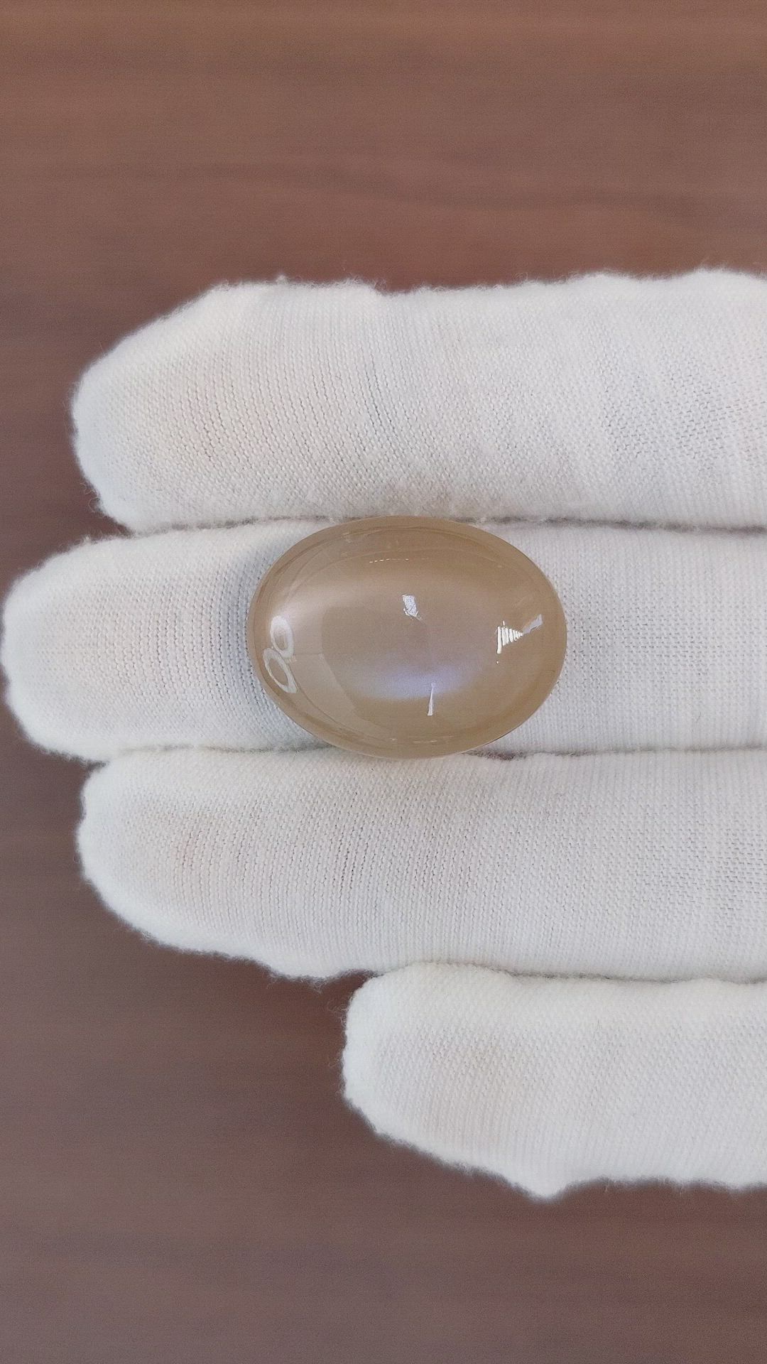 25.05 Ct. Cabochon Moonstone from Ceylon (Sri Lanka) Size Video