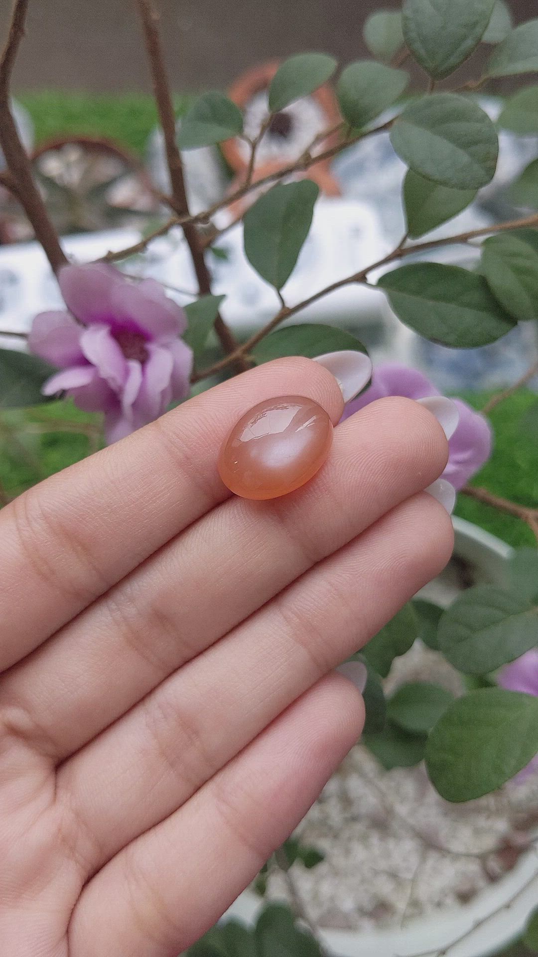 13.06 Ct. Cabochon Moonstone from Ceylon (Sri Lanka) Size Video