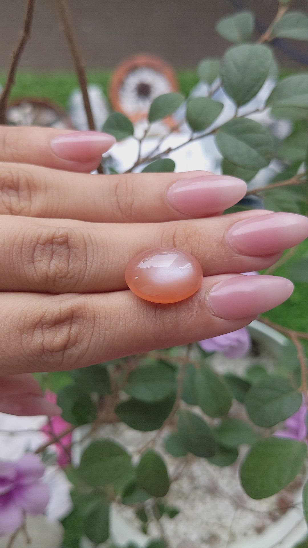 13.06 Ct. Cabochon Moonstone from Ceylon (Sri Lanka) Size Video