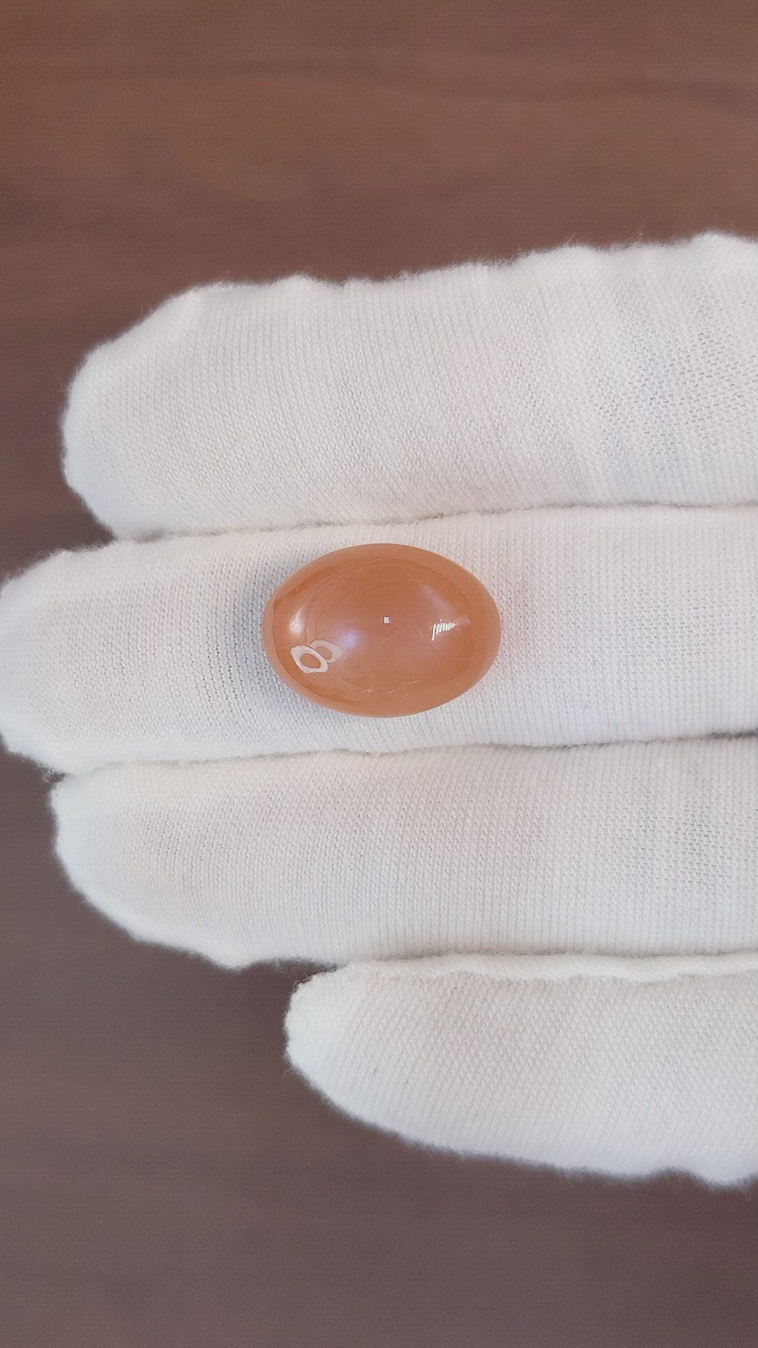 13.06 Ct. Cabochon Moonstone from Ceylon (Sri Lanka) Size Video